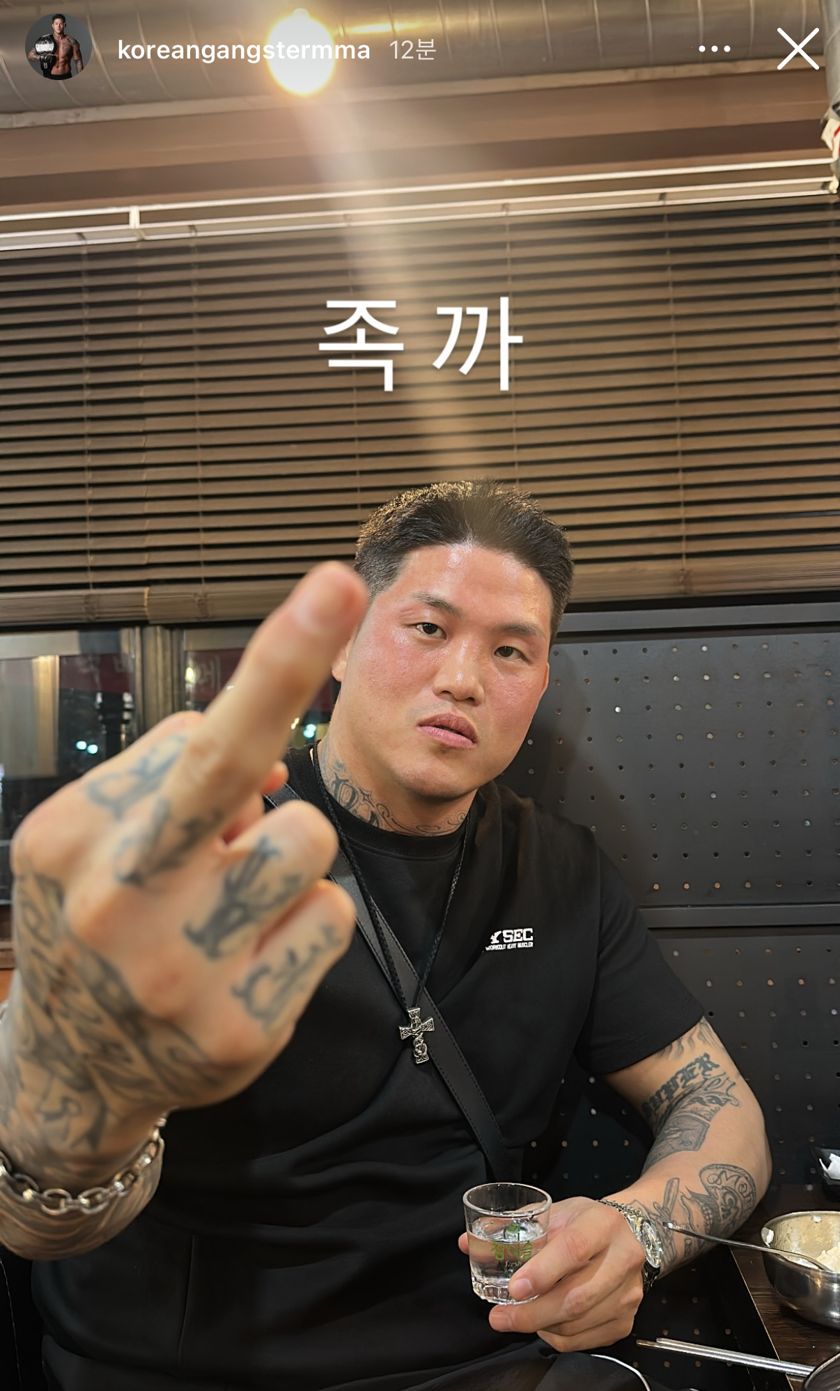 업로드된 이미지