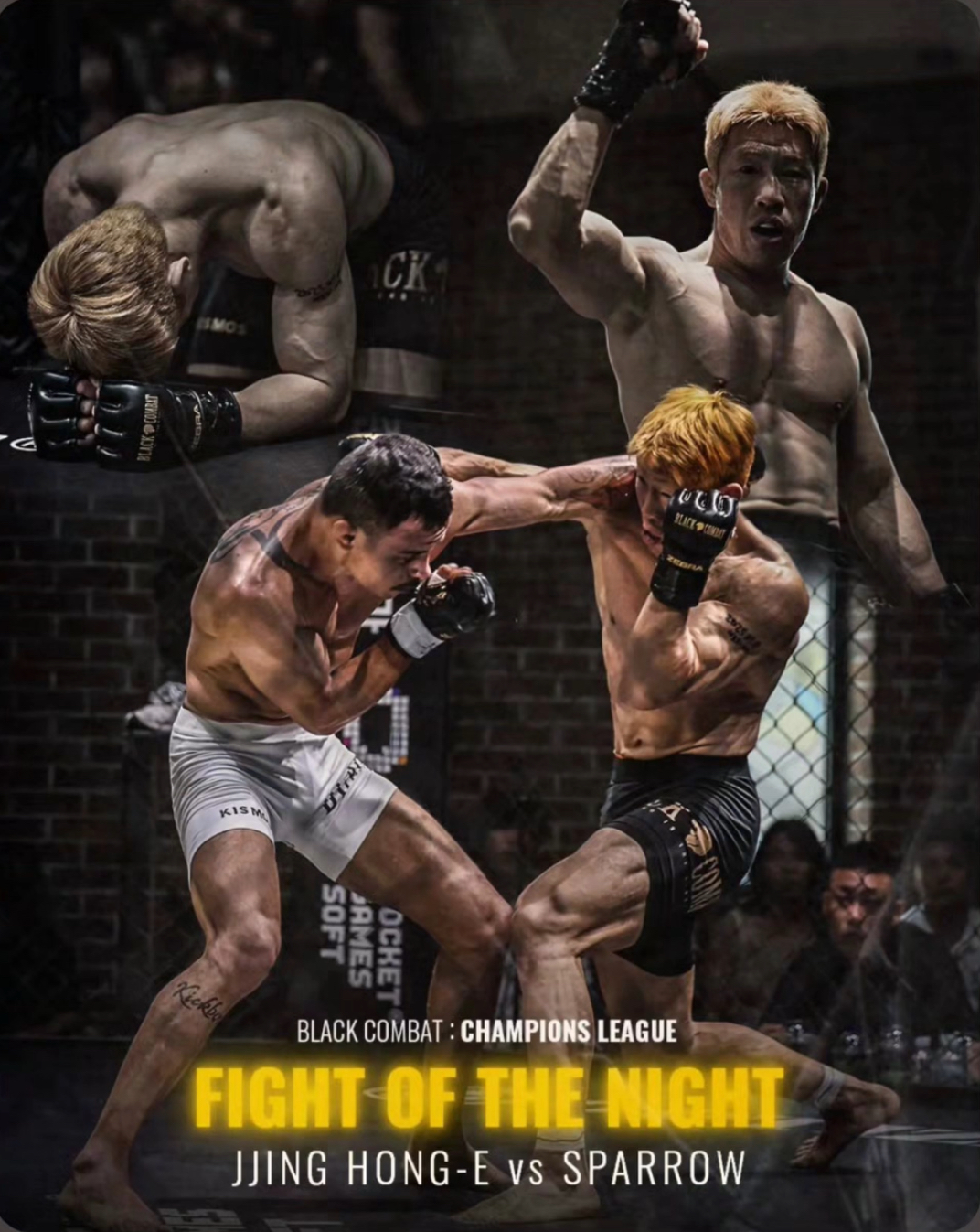 업로드된 이미지