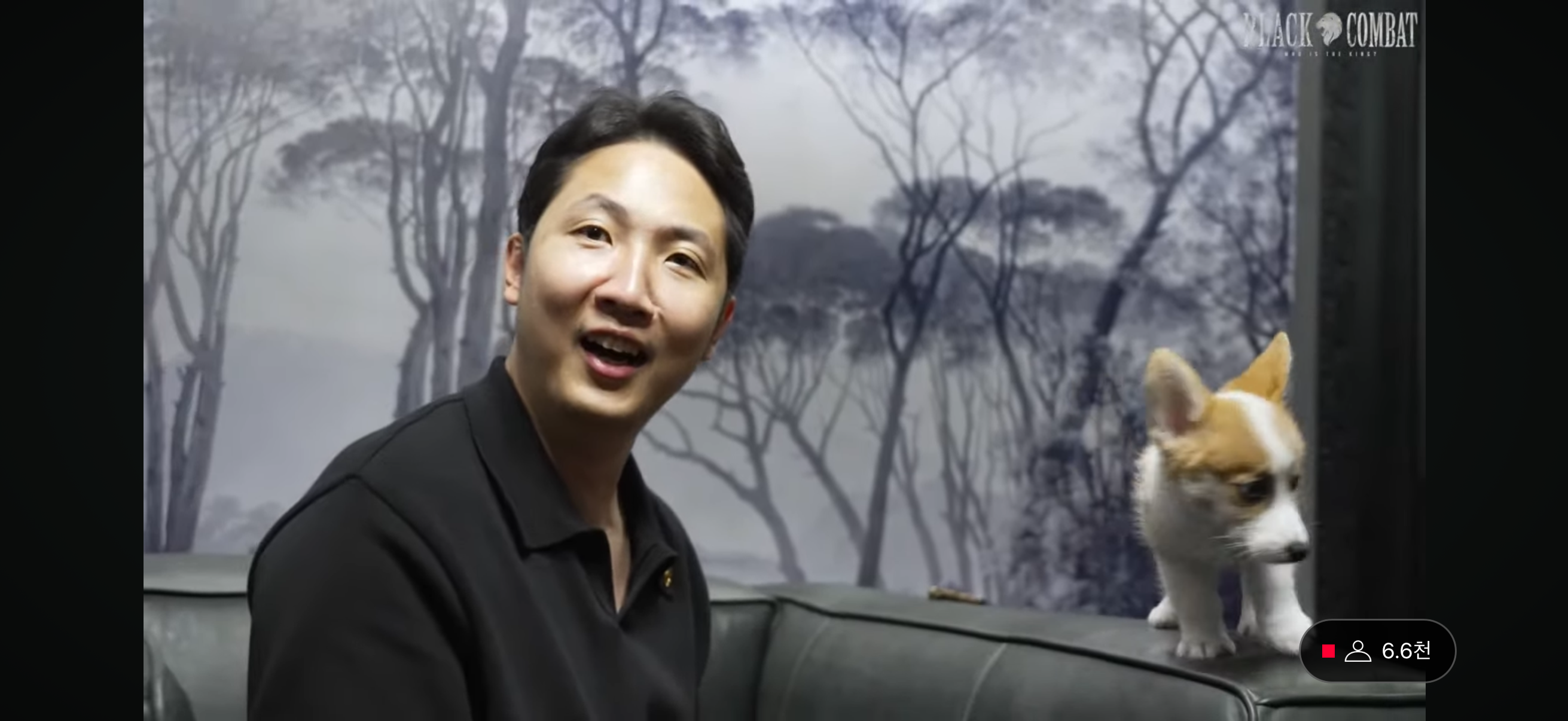 업로드된 이미지