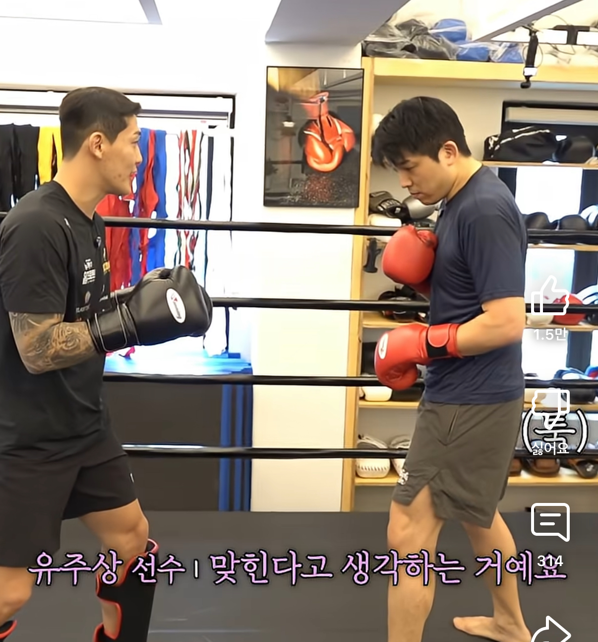업로드된 이미지