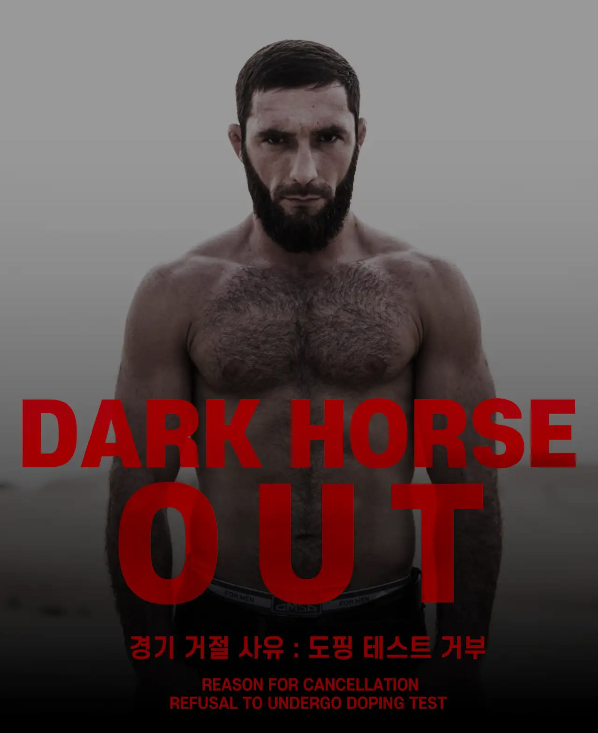업로드된 이미지