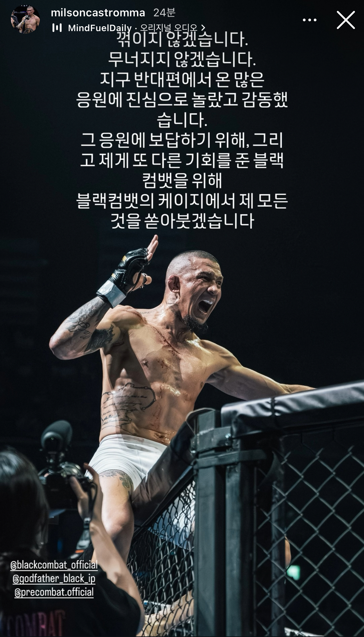 업로드된 이미지
