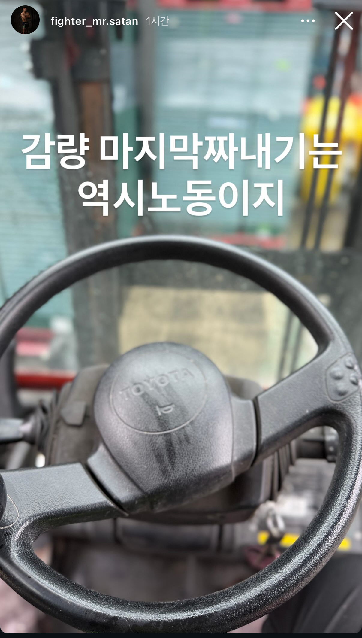 업로드된 이미지