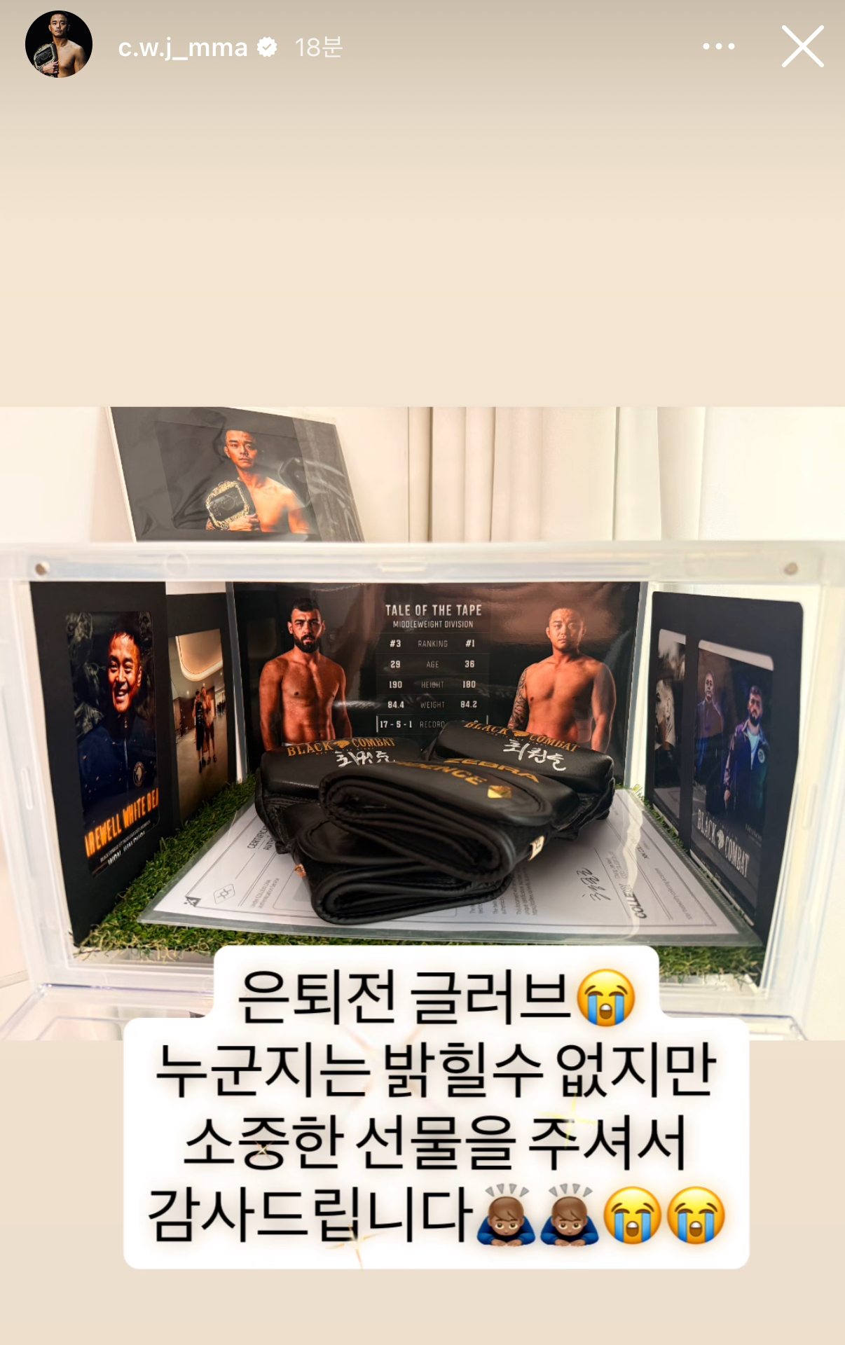 업로드된 이미지