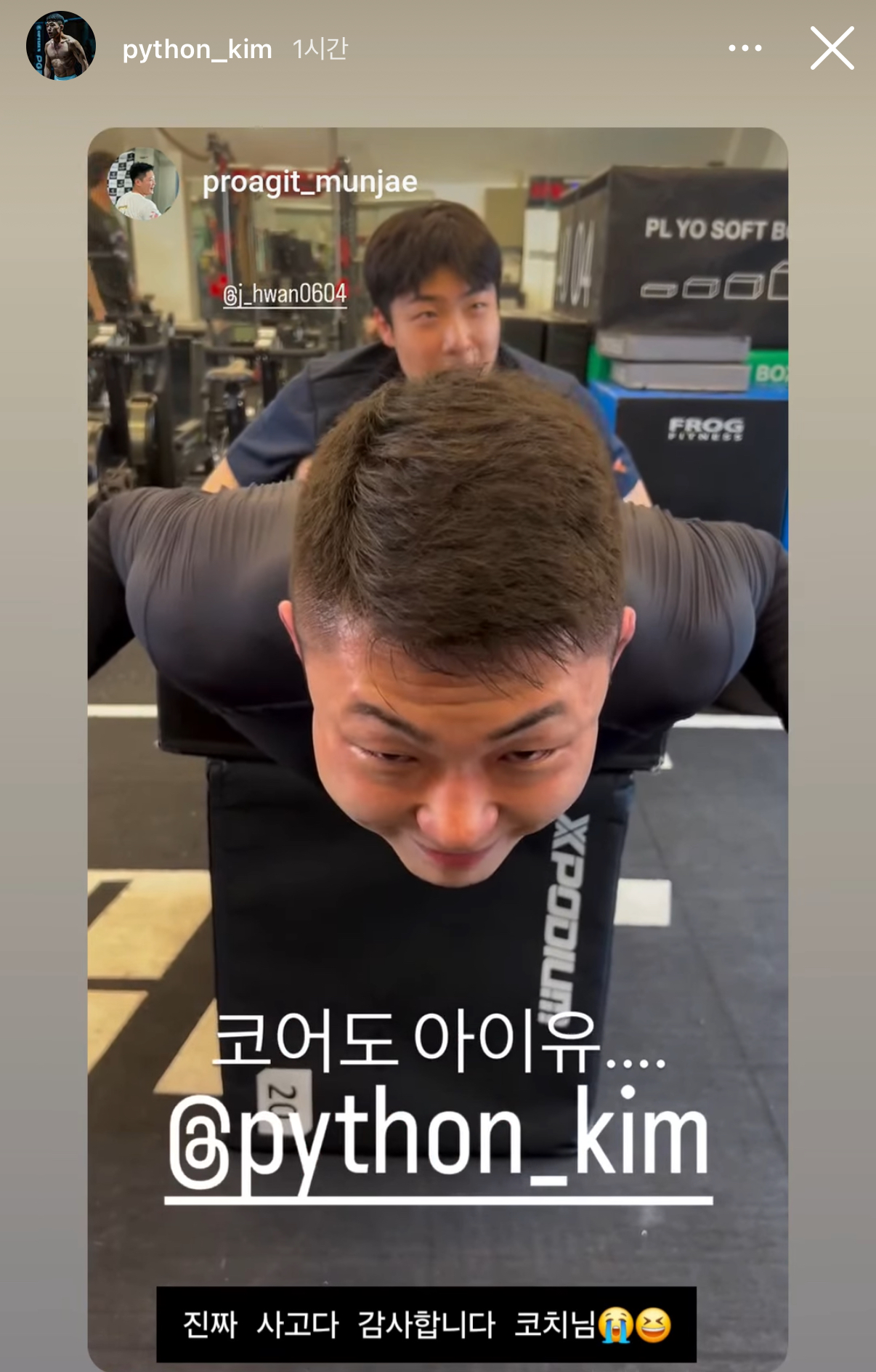 업로드된 이미지