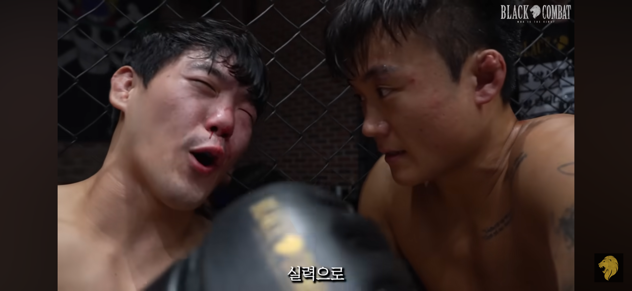 업로드된 이미지