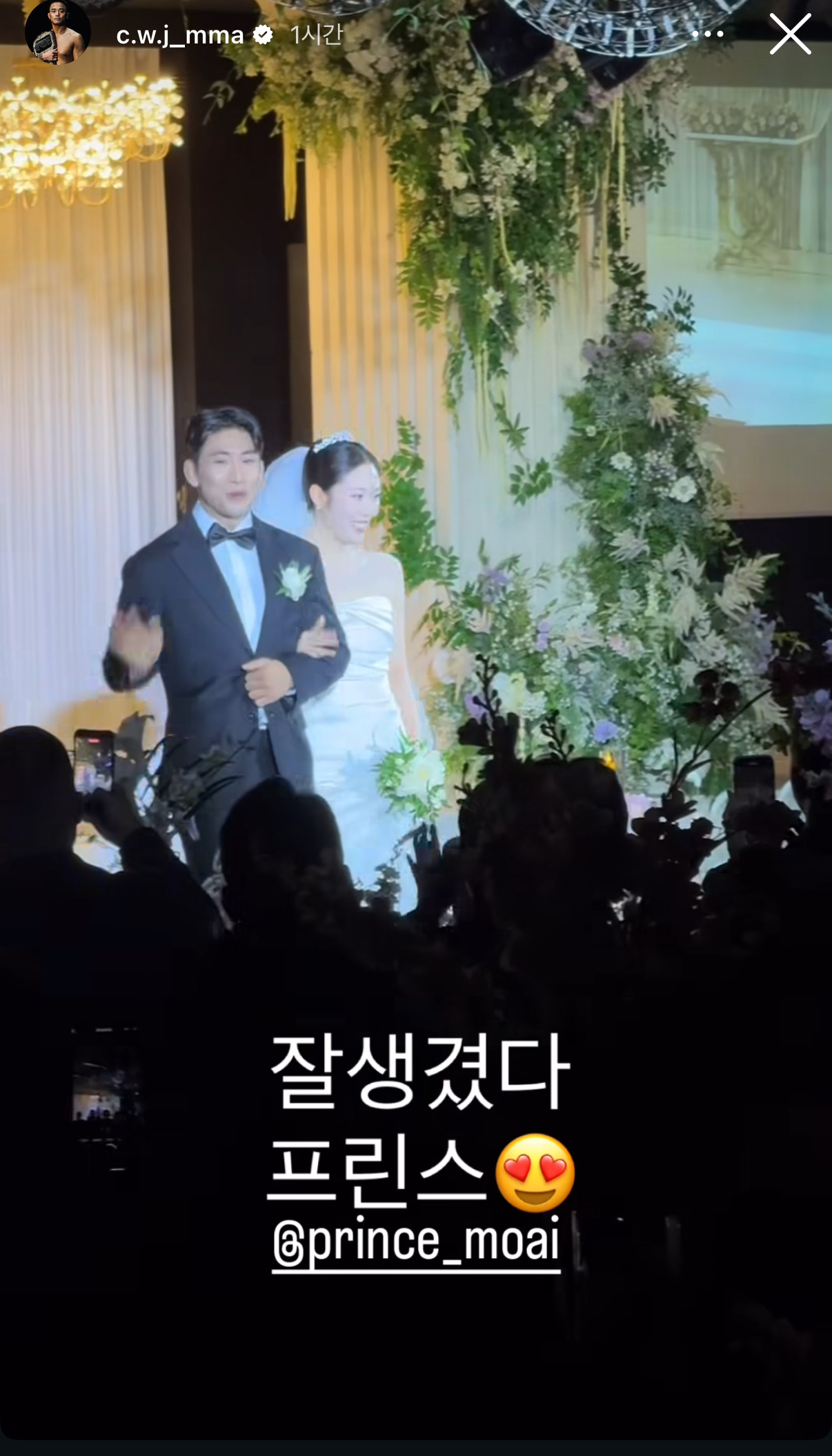 업로드된 이미지