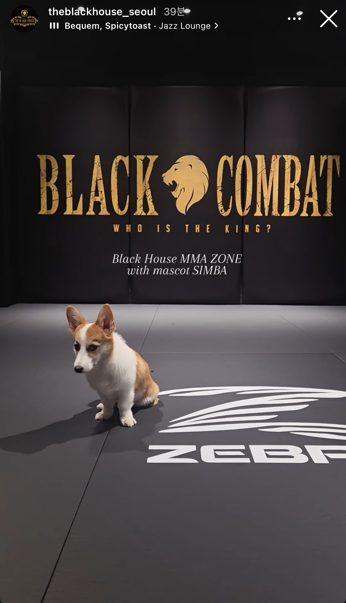 업로드된 이미지