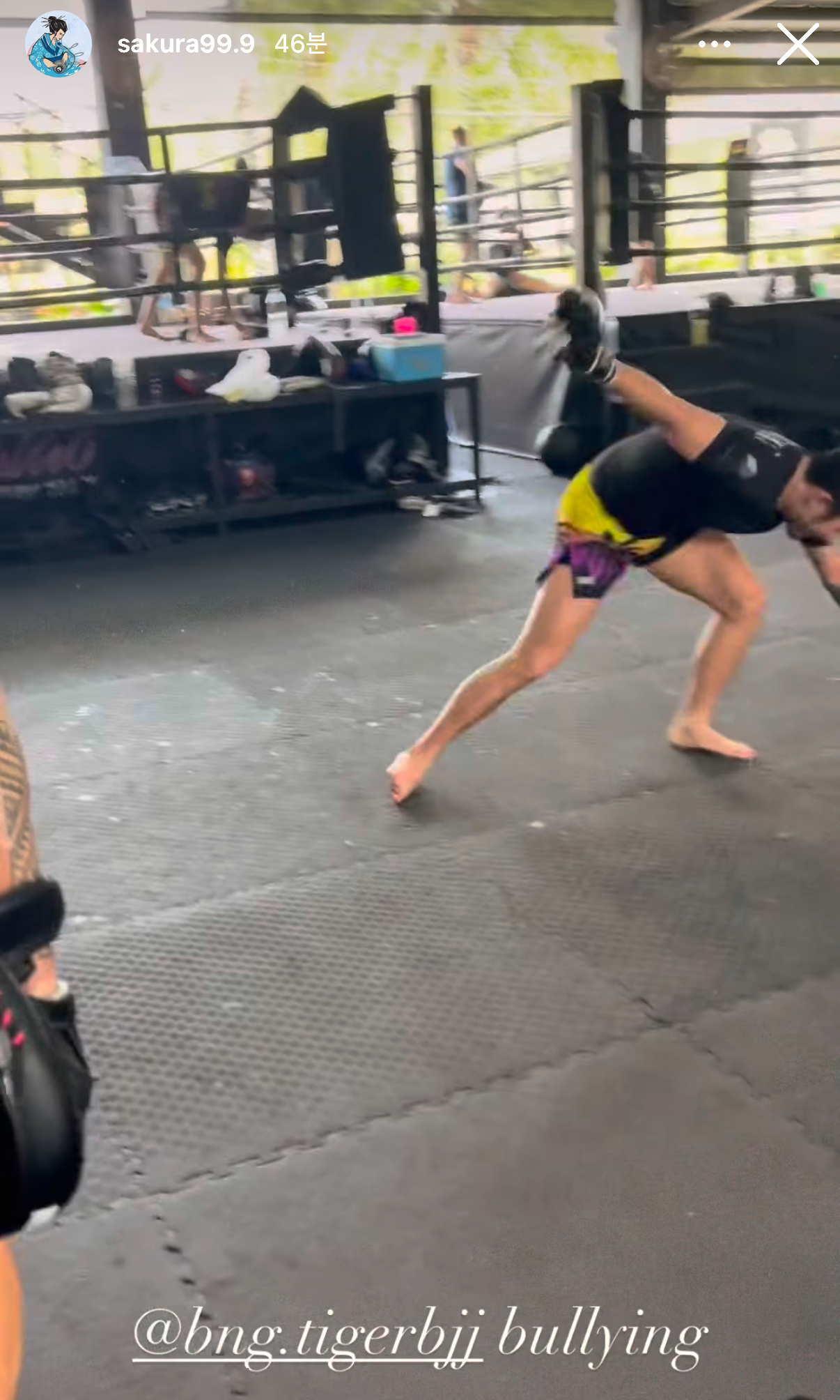 업로드된 이미지