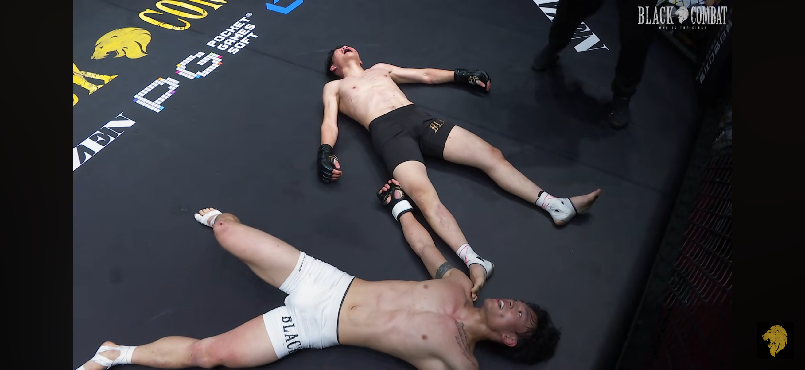 업로드된 이미지