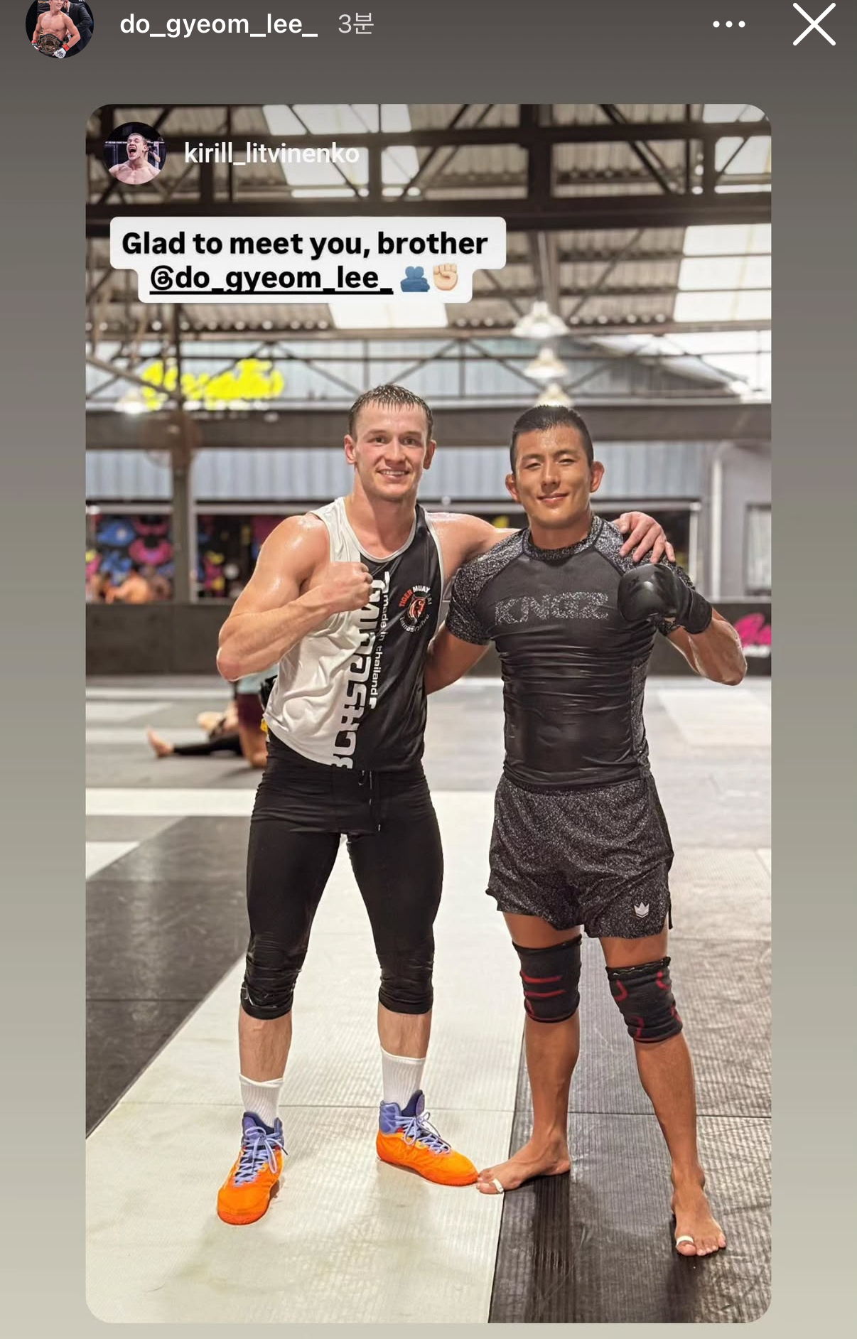 업로드된 이미지