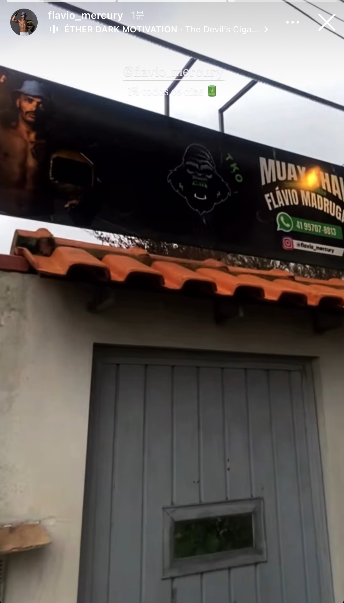 업로드된 이미지