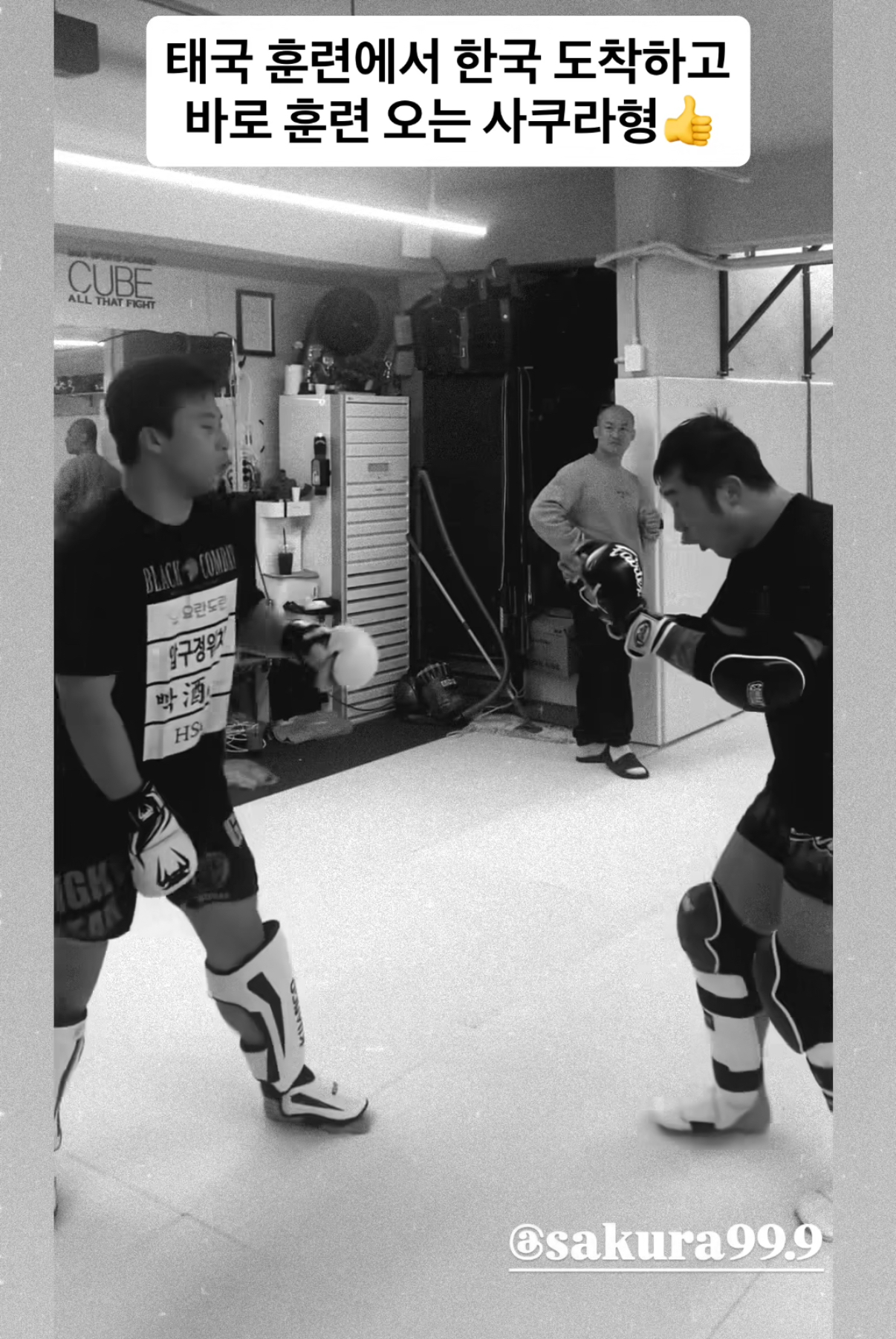 업로드된 이미지