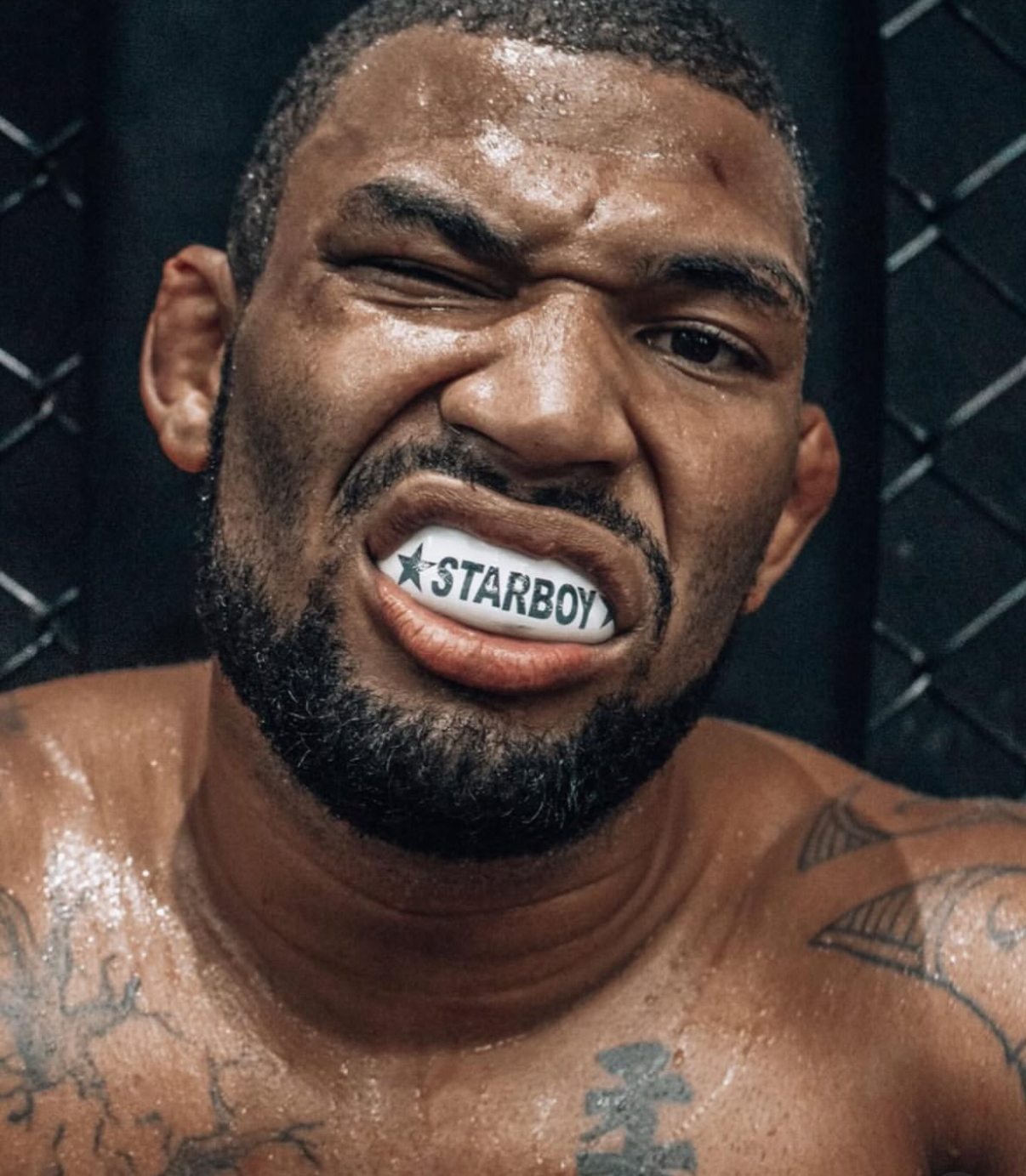 업로드된 이미지