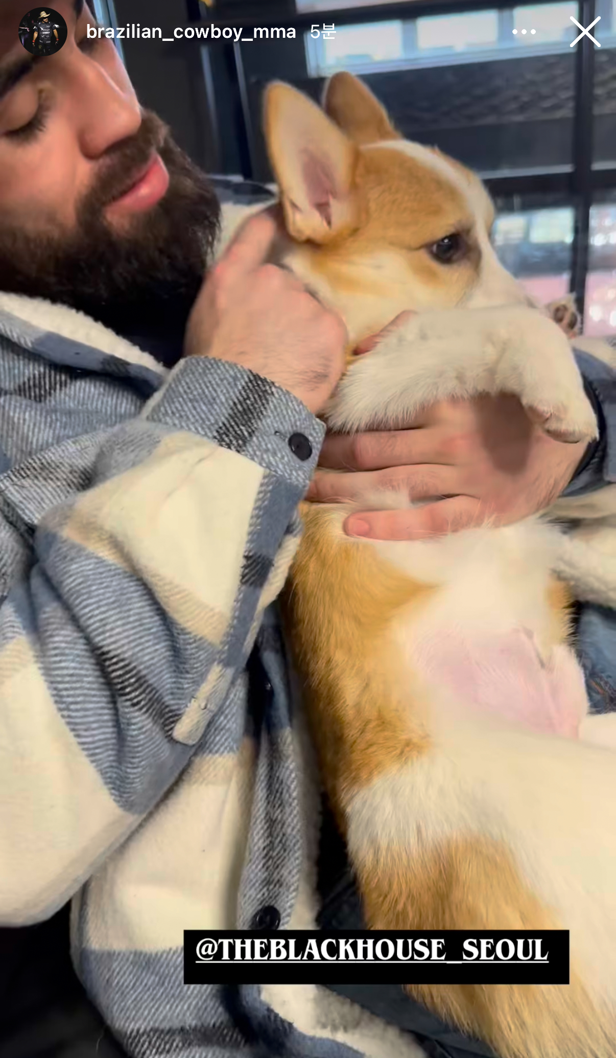 업로드된 이미지