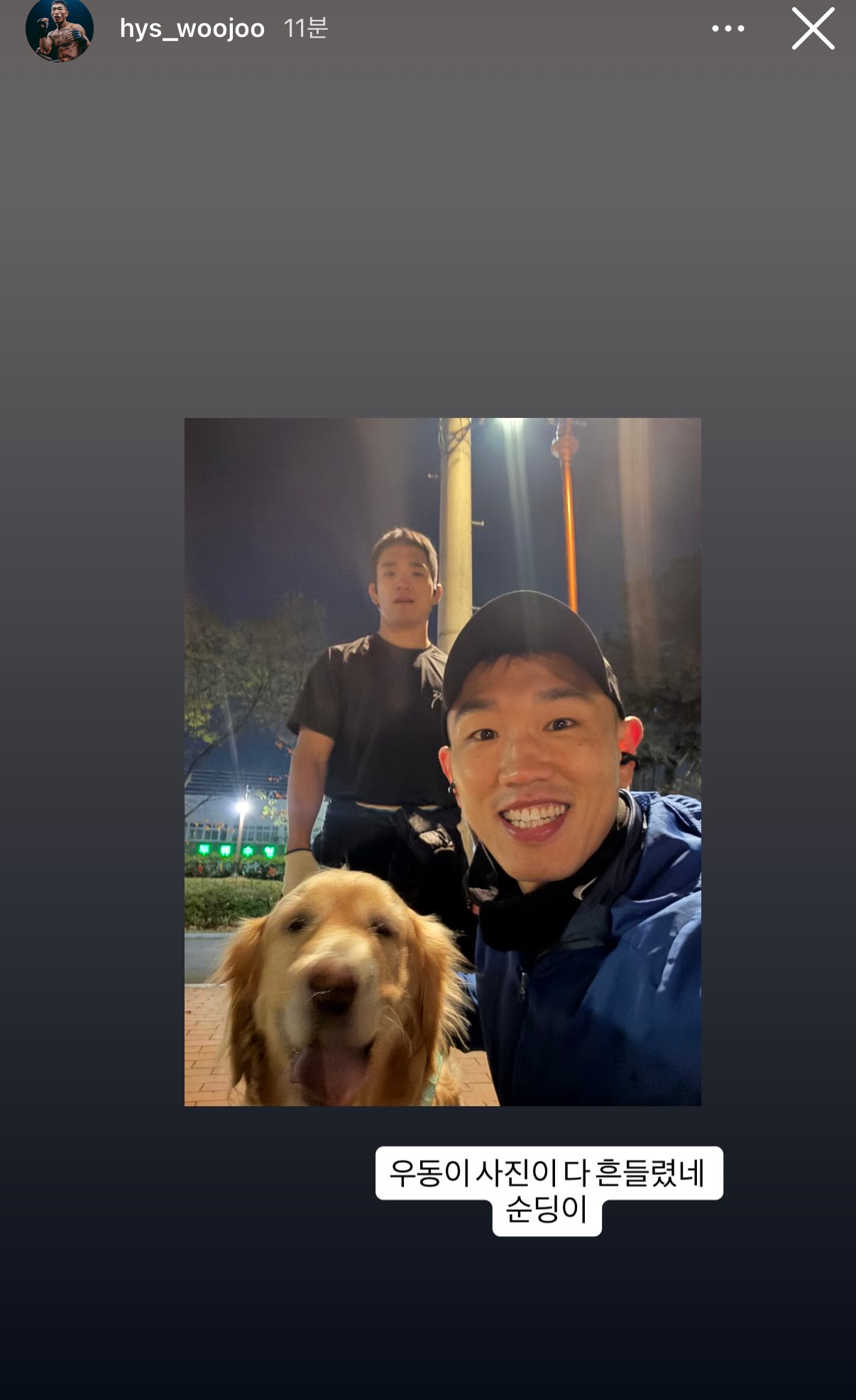 업로드된 이미지