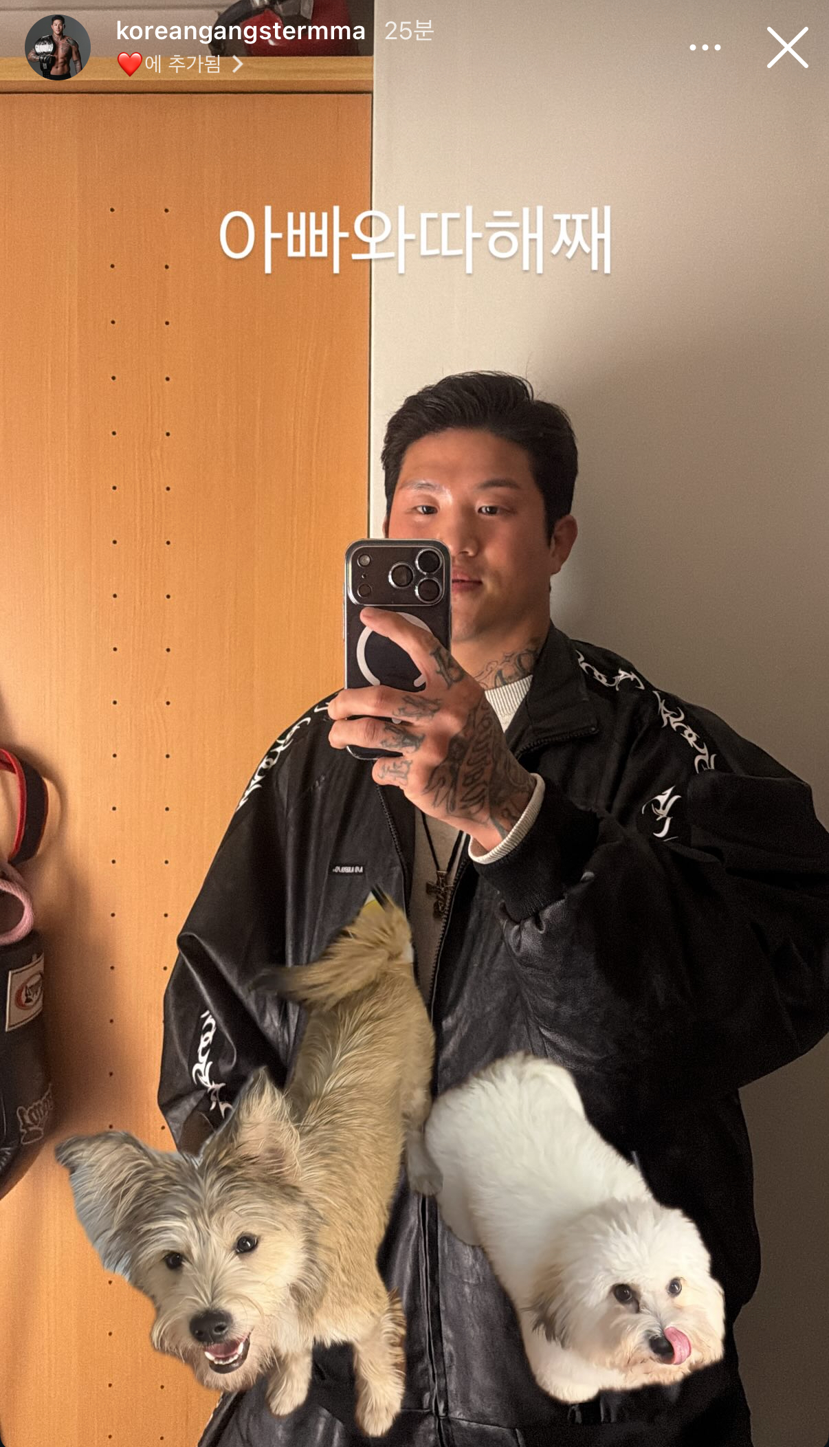 업로드된 이미지