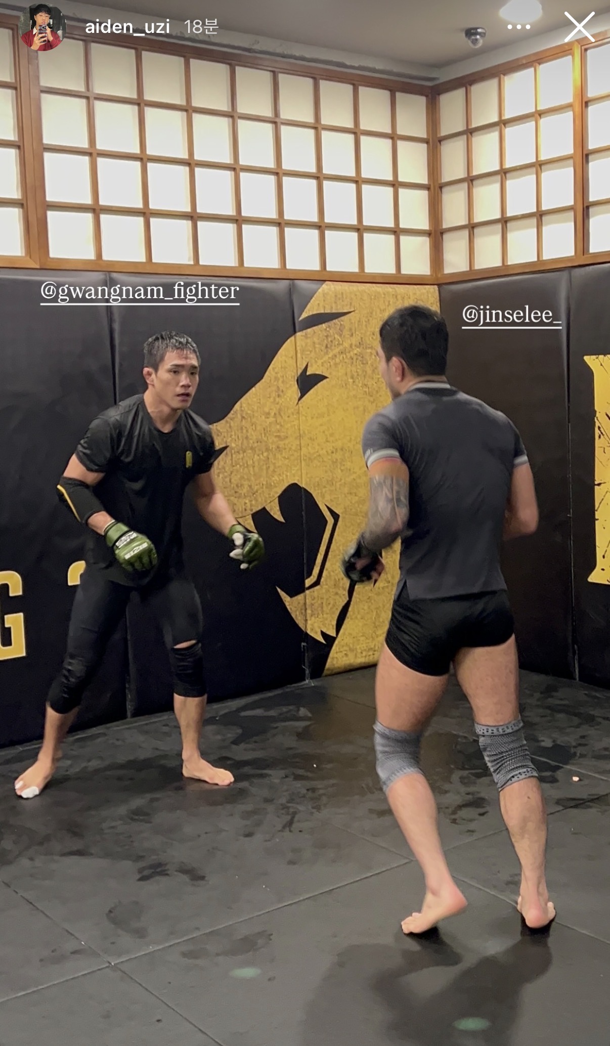 업로드된 이미지