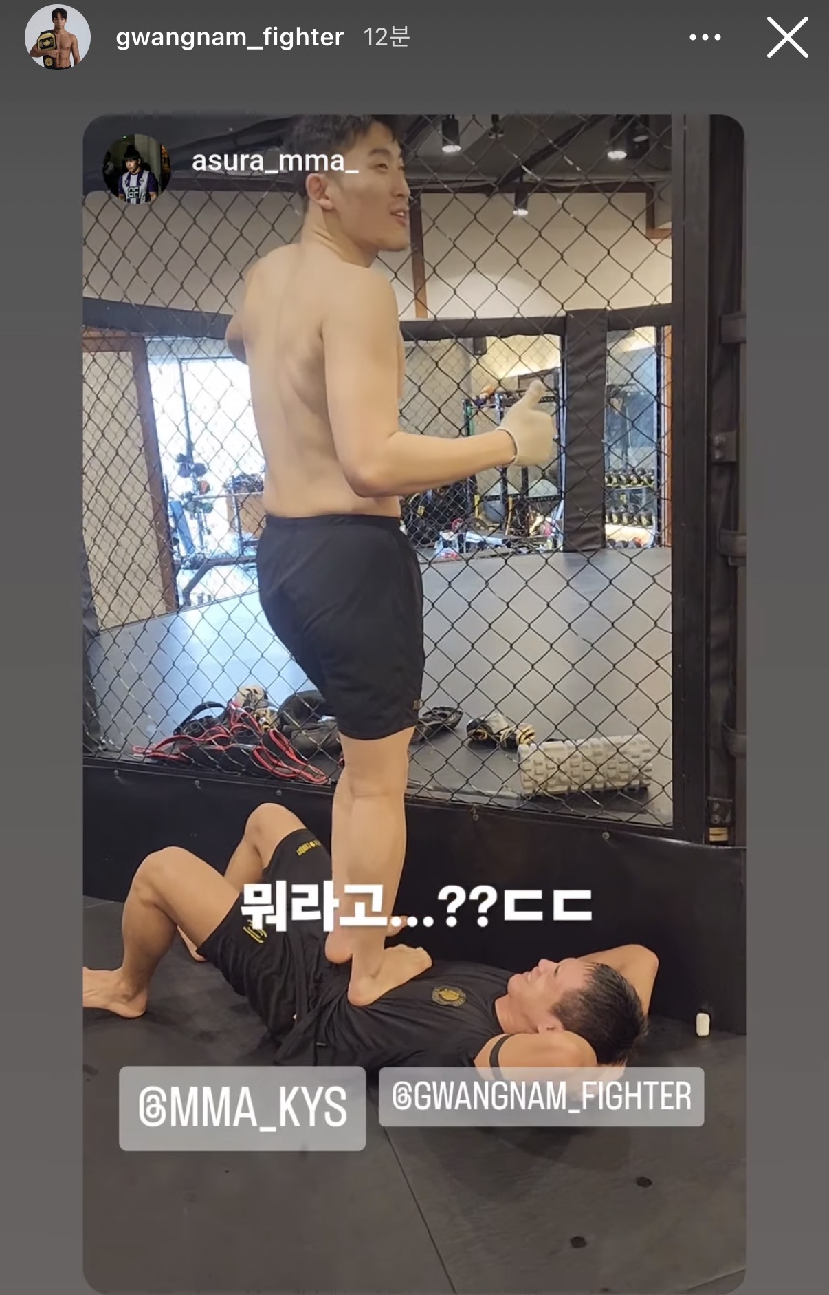 업로드된 이미지