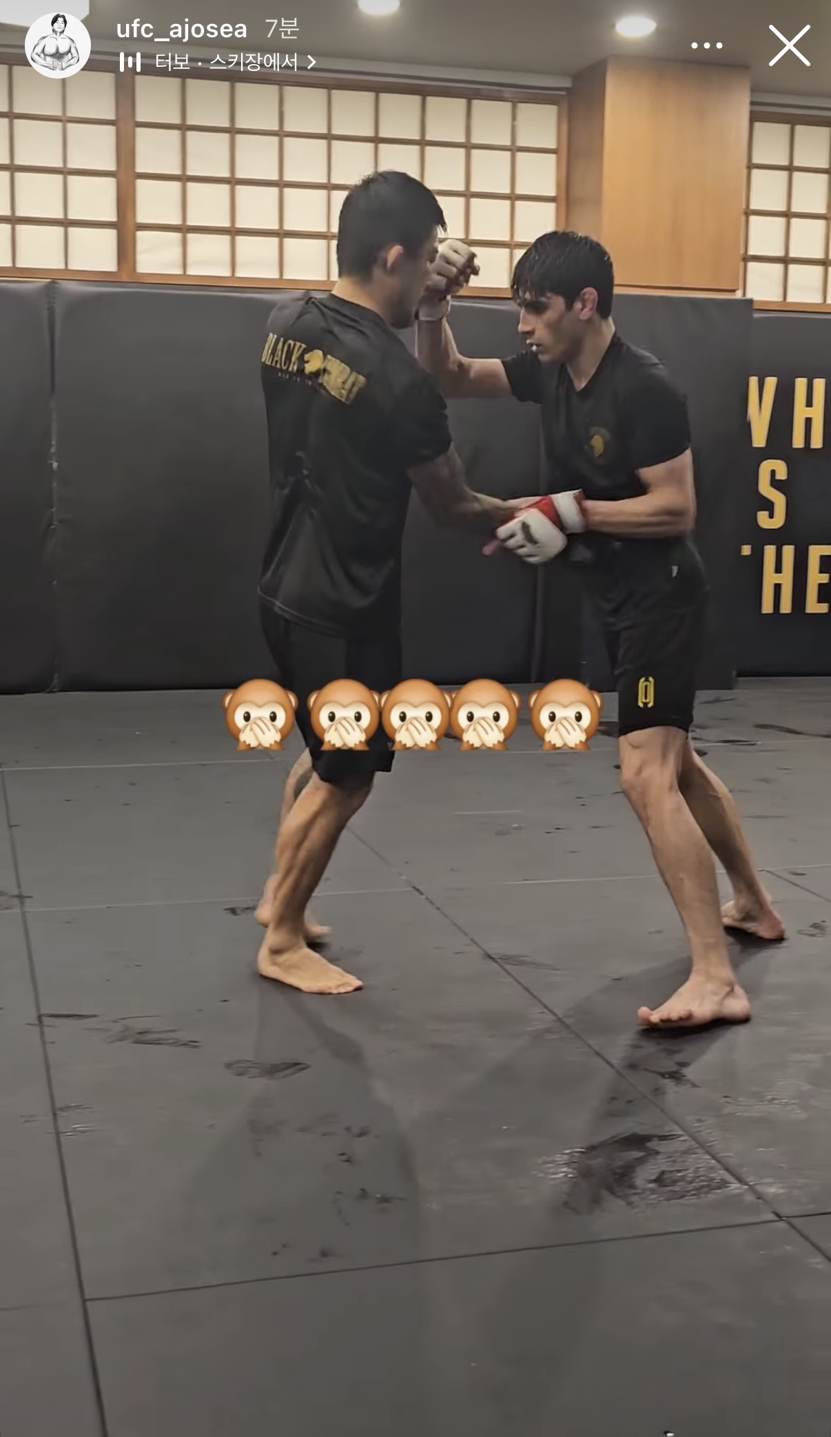 업로드된 이미지