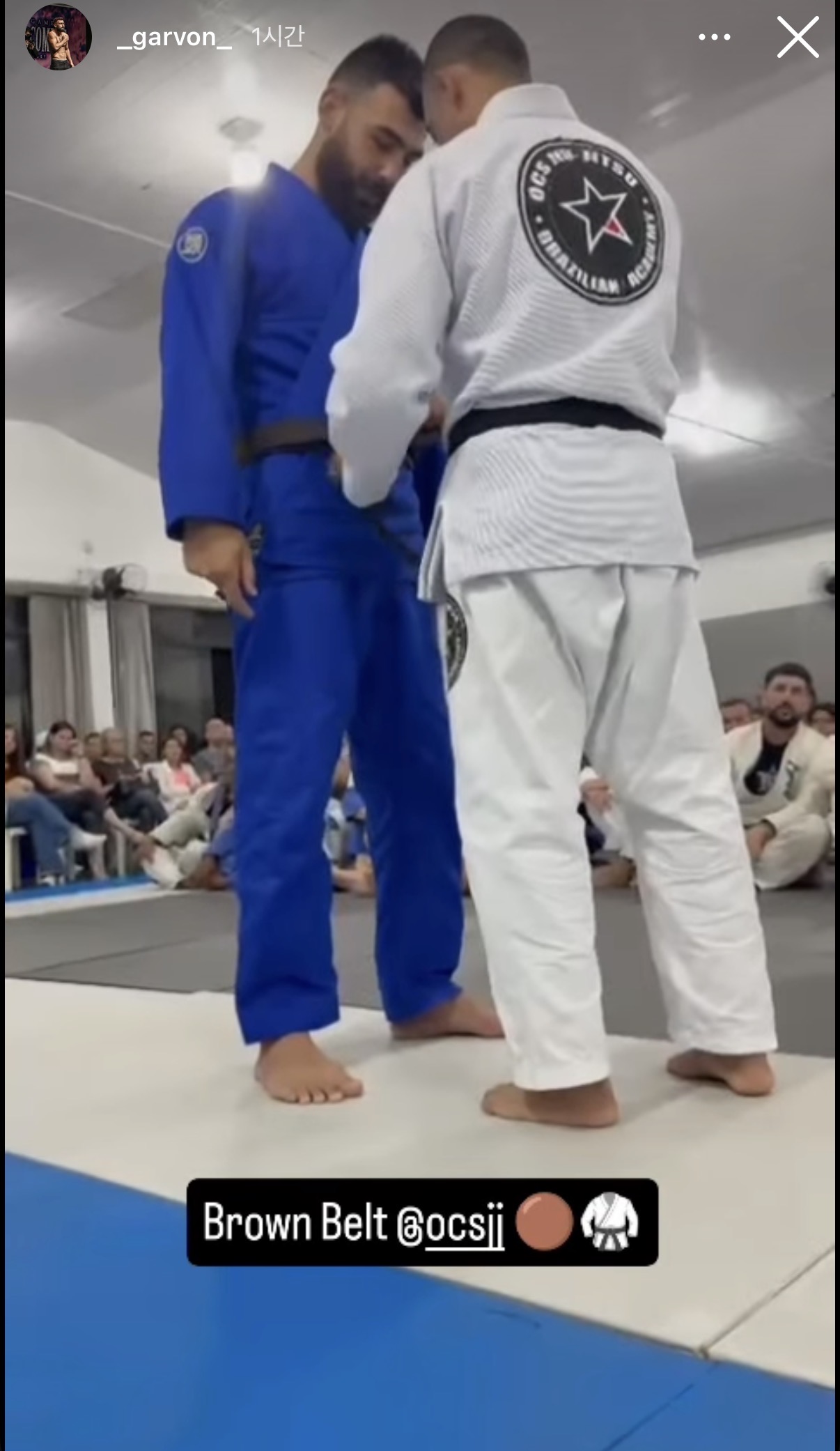 업로드된 이미지