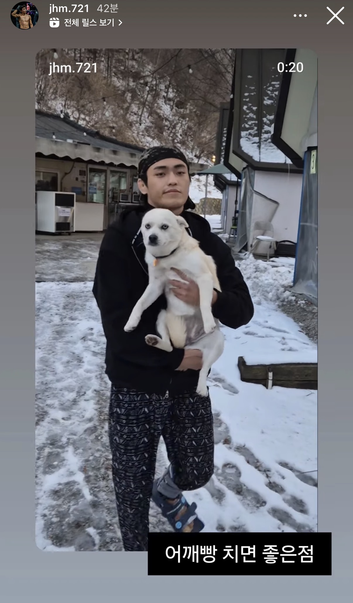 업로드된 이미지