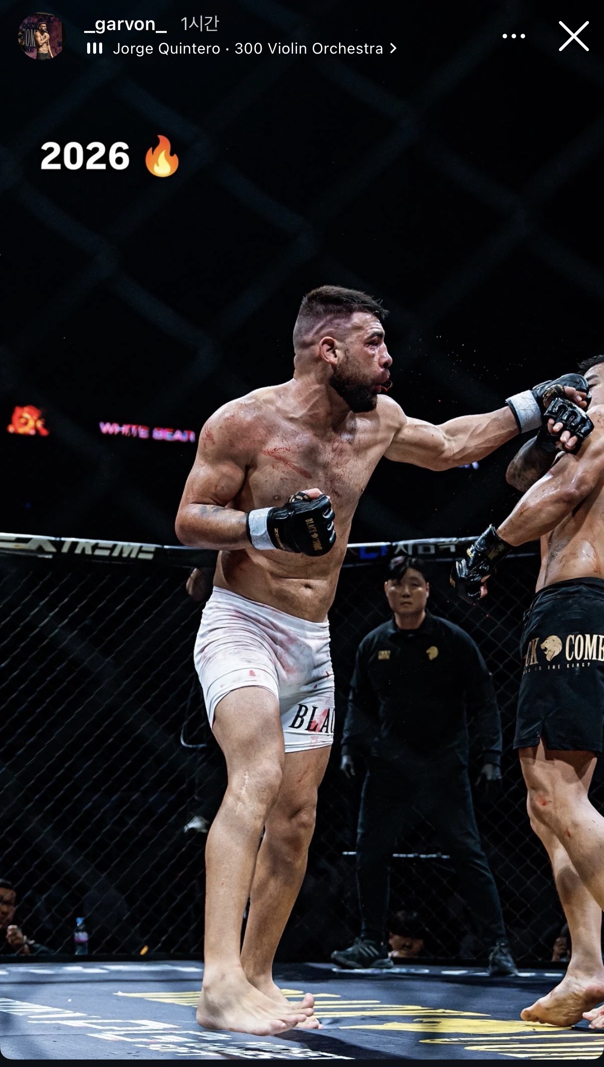 업로드된 이미지