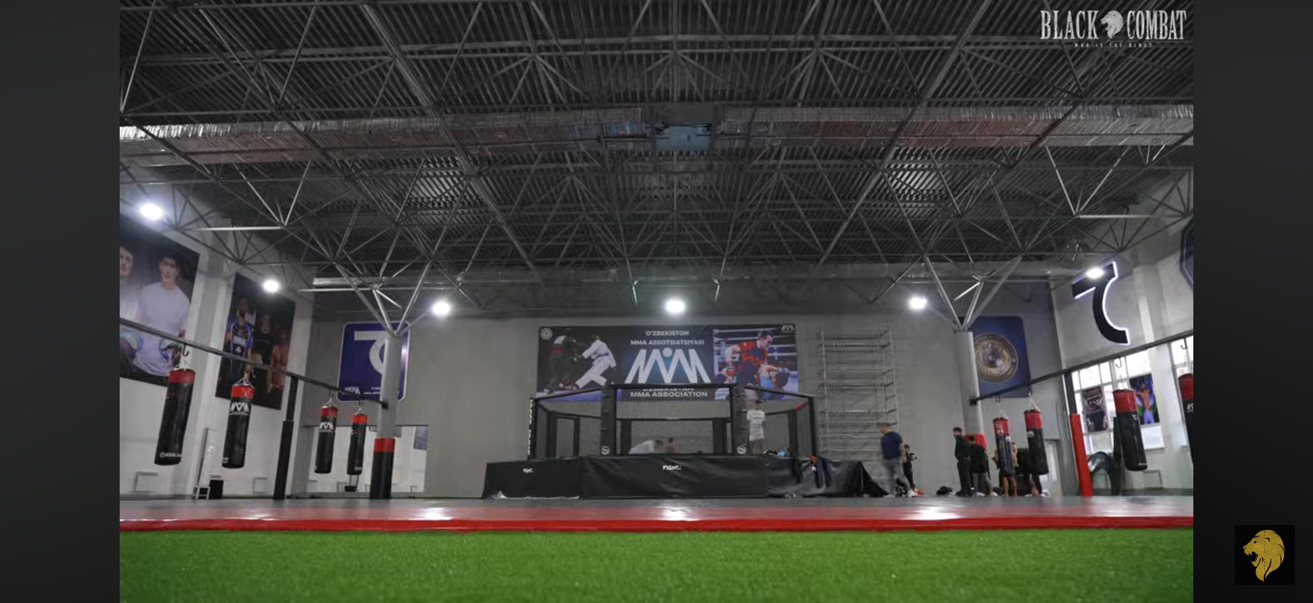 업로드된 이미지