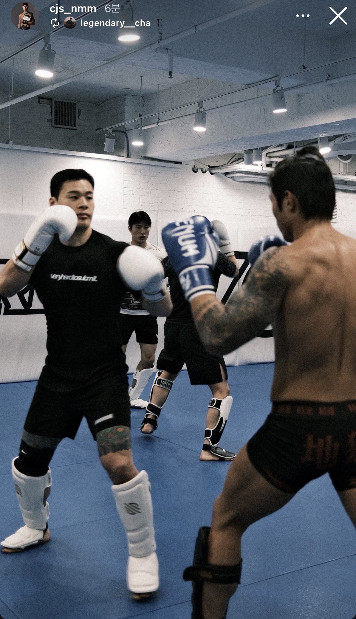 업로드된 이미지