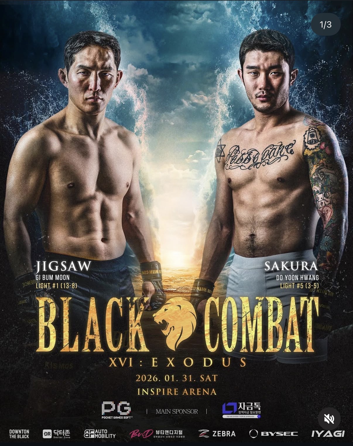 업로드된 이미지