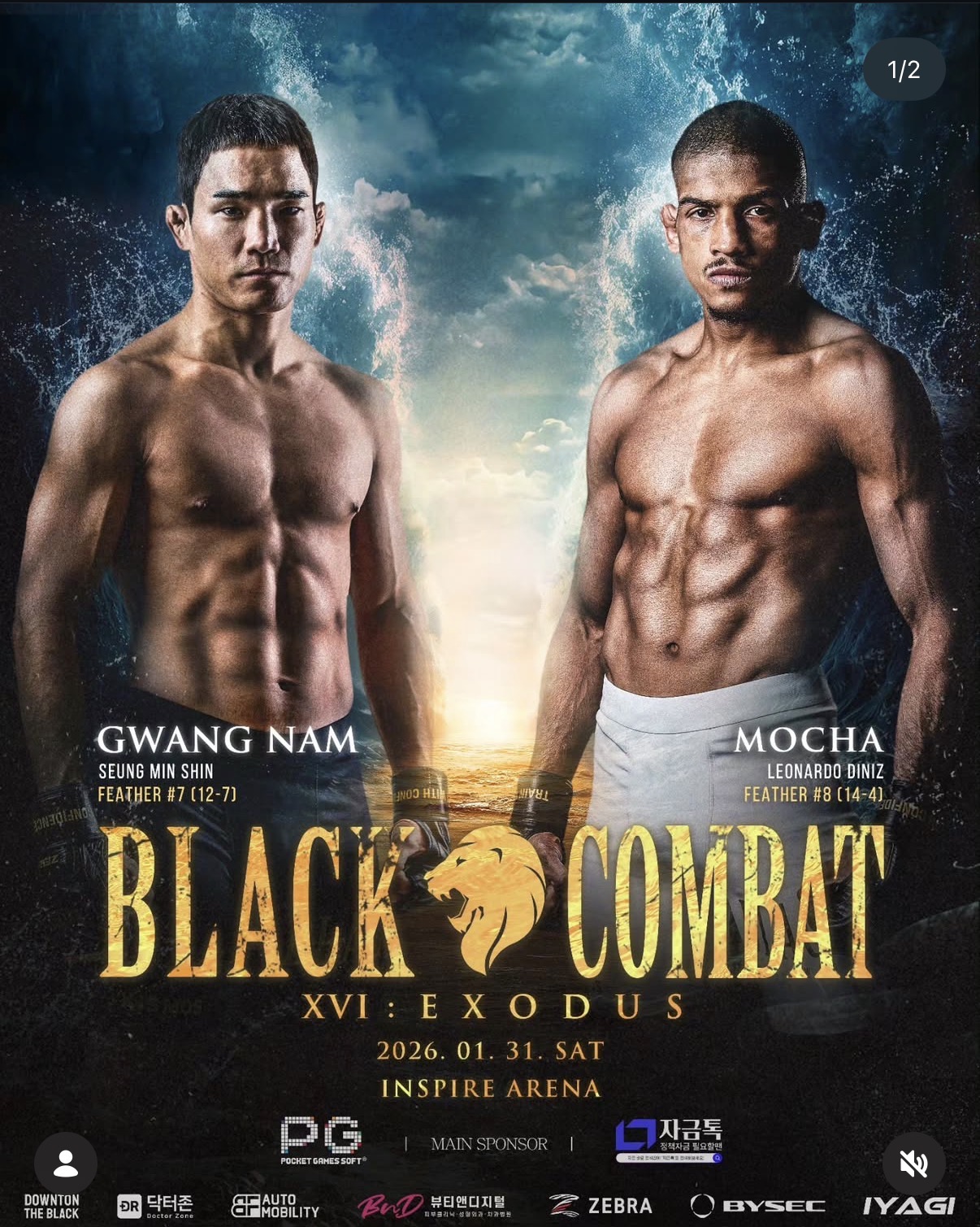 업로드된 이미지