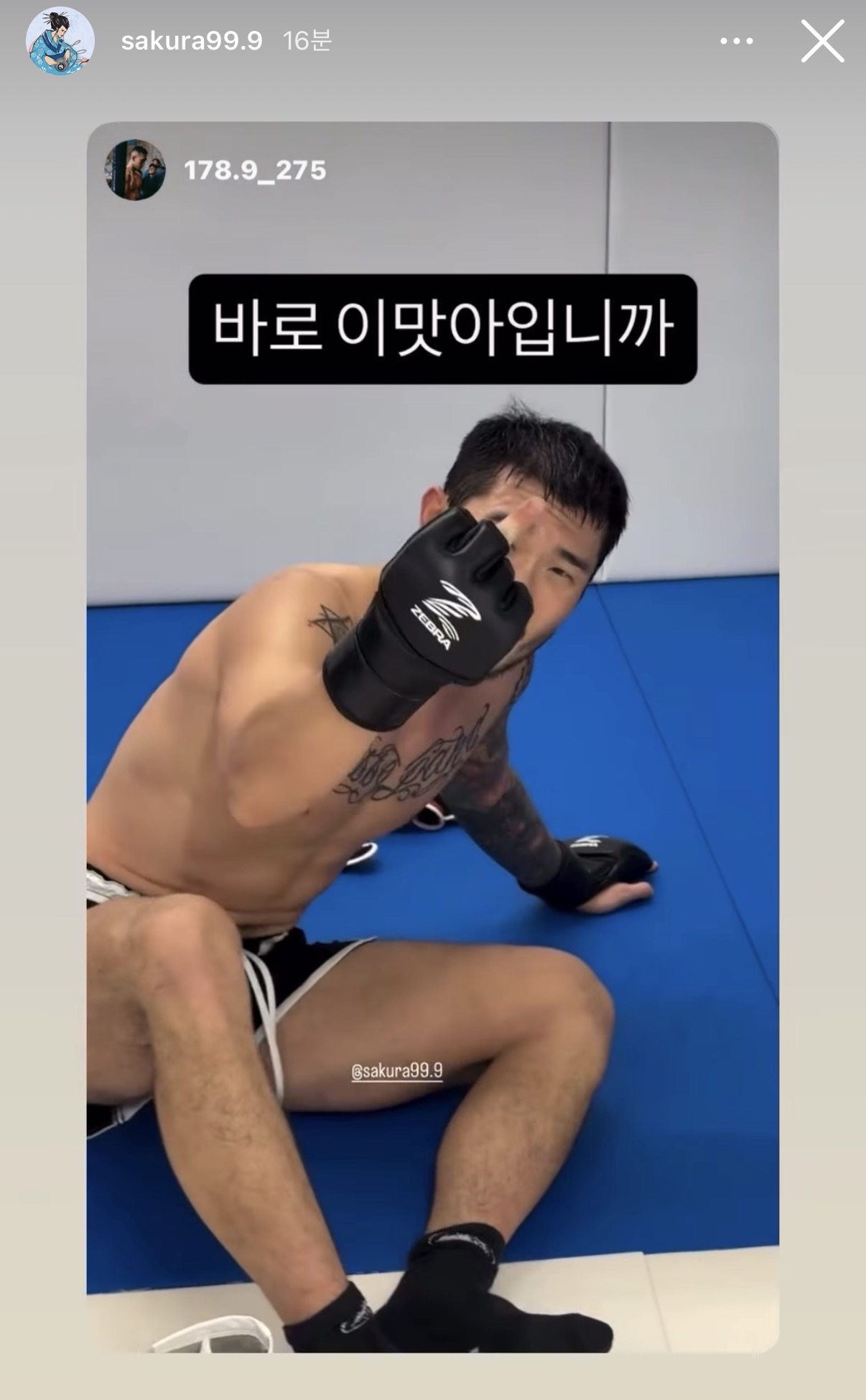 업로드된 이미지