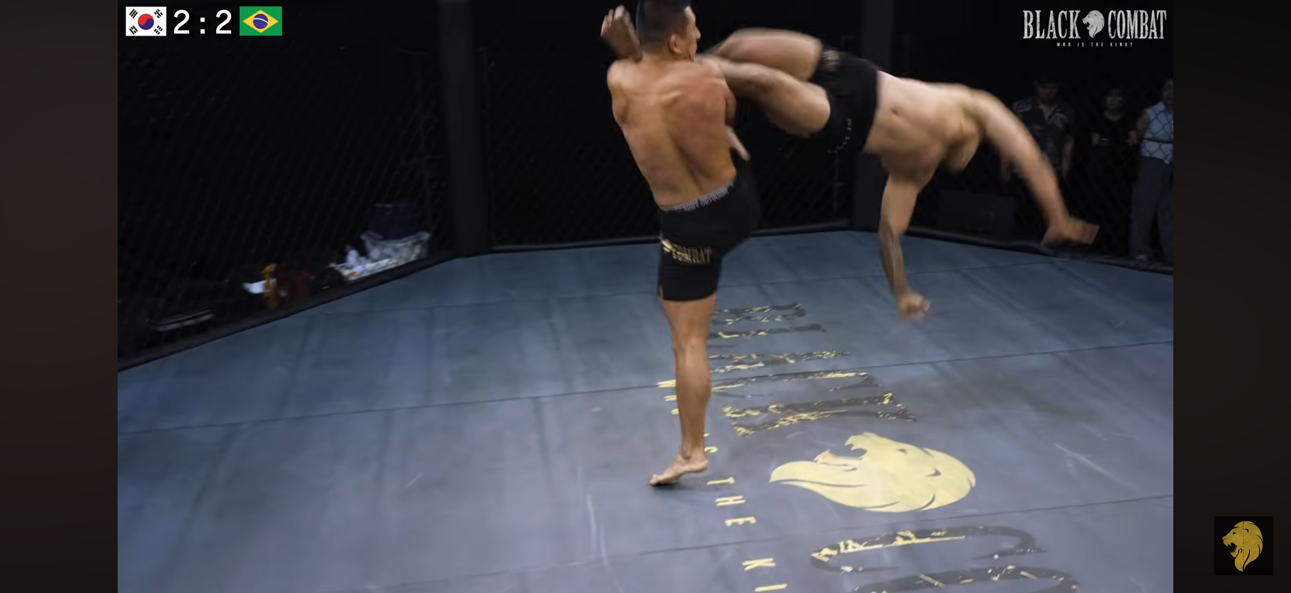 업로드된 이미지