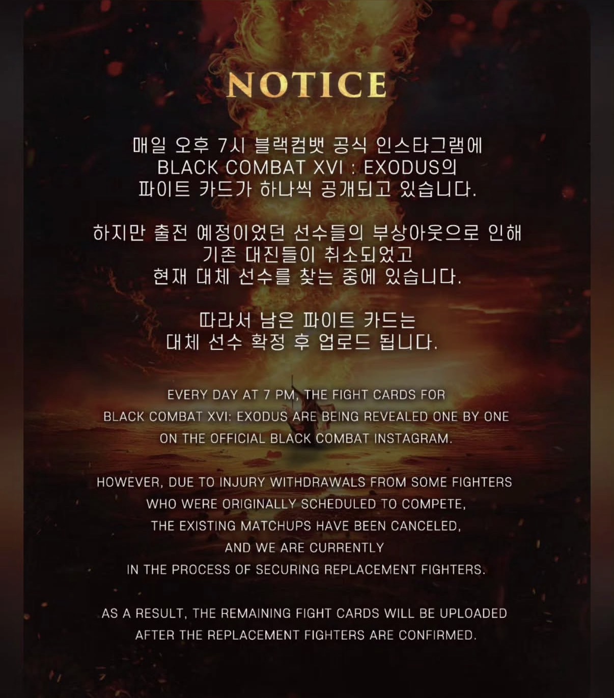 업로드된 이미지