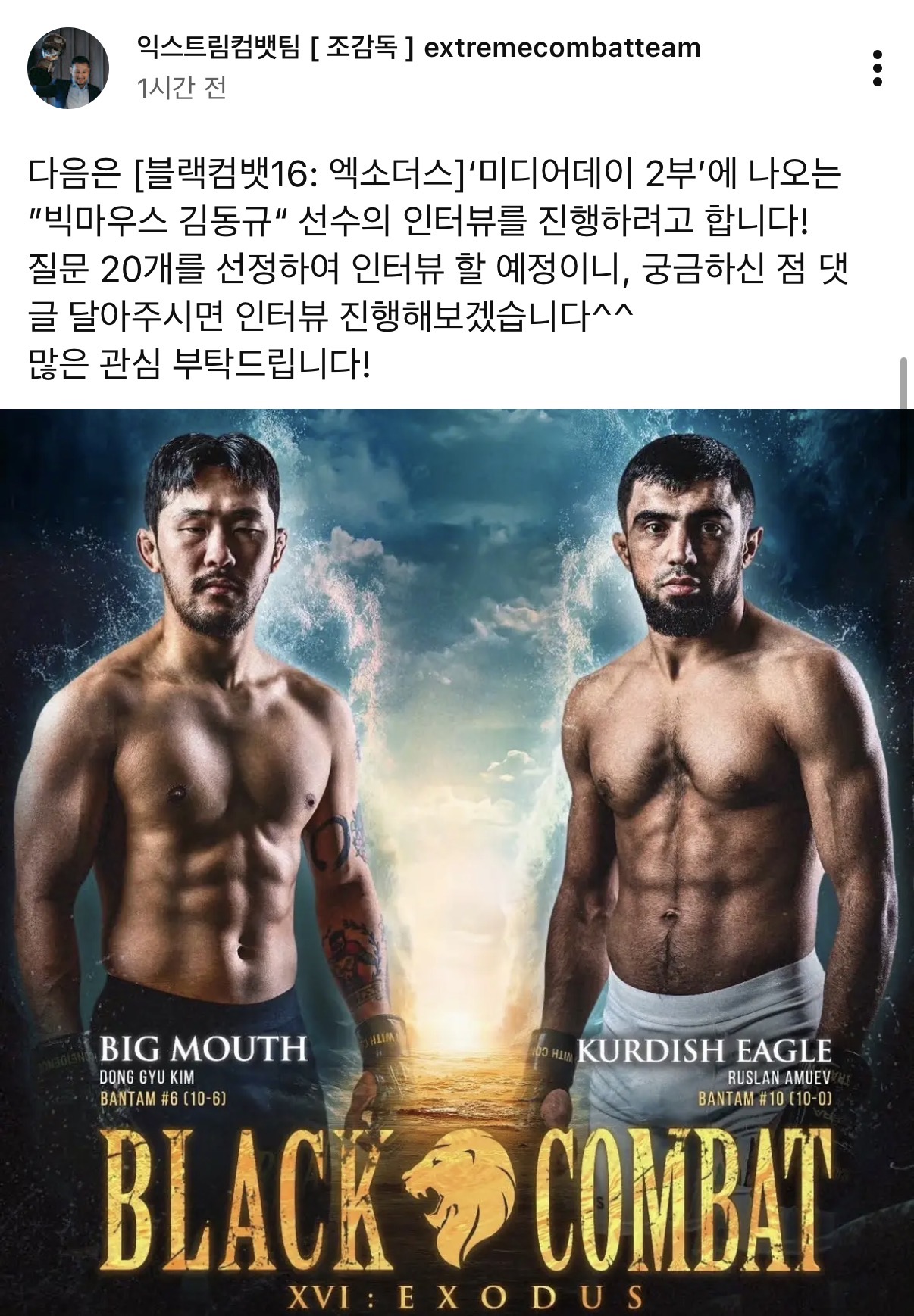 업로드된 이미지