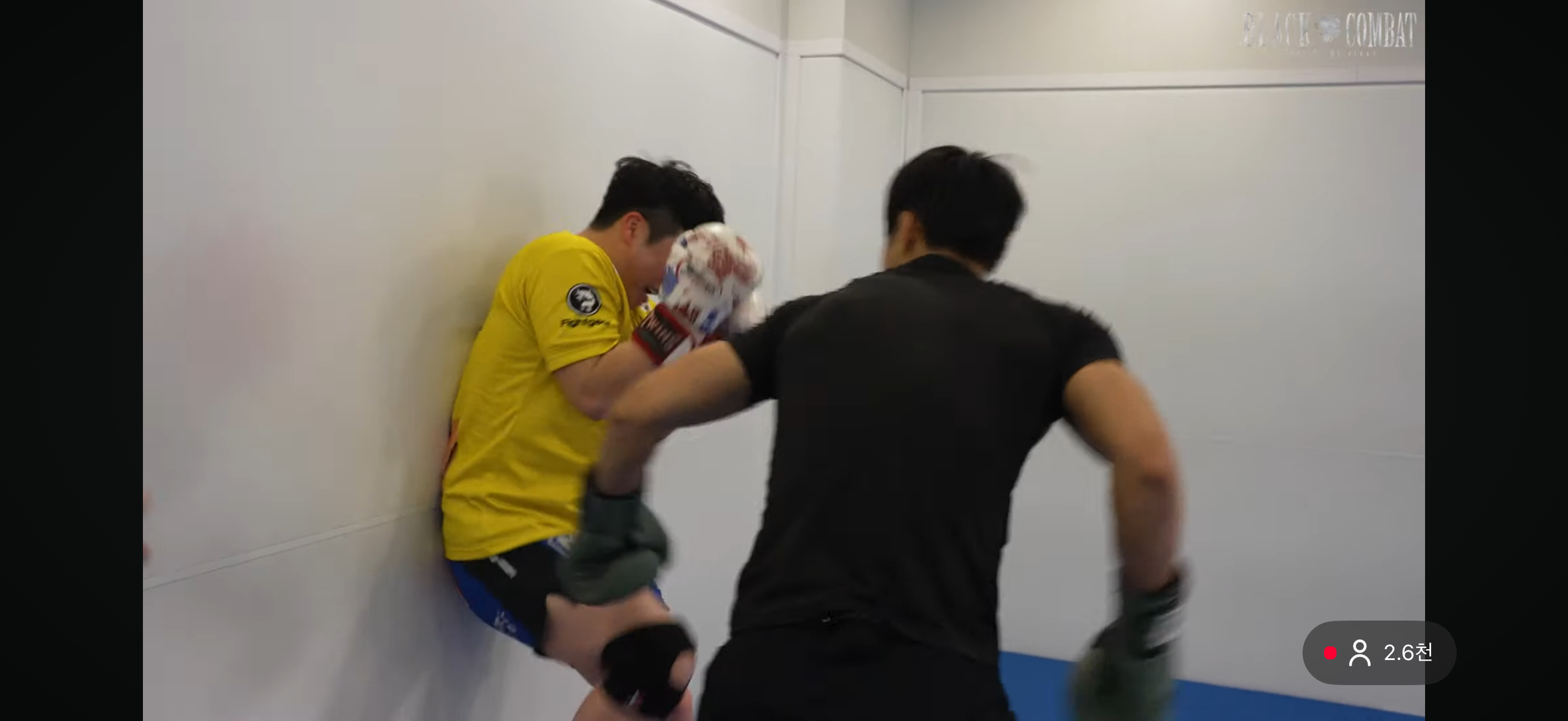 업로드된 이미지