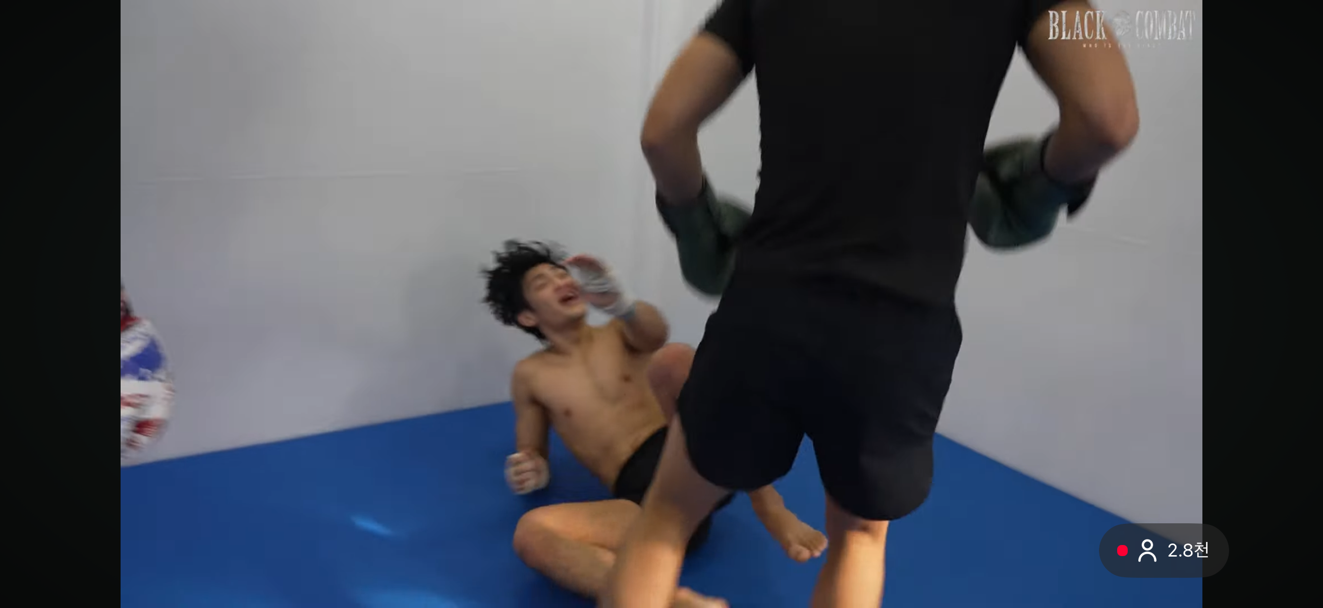 업로드된 이미지