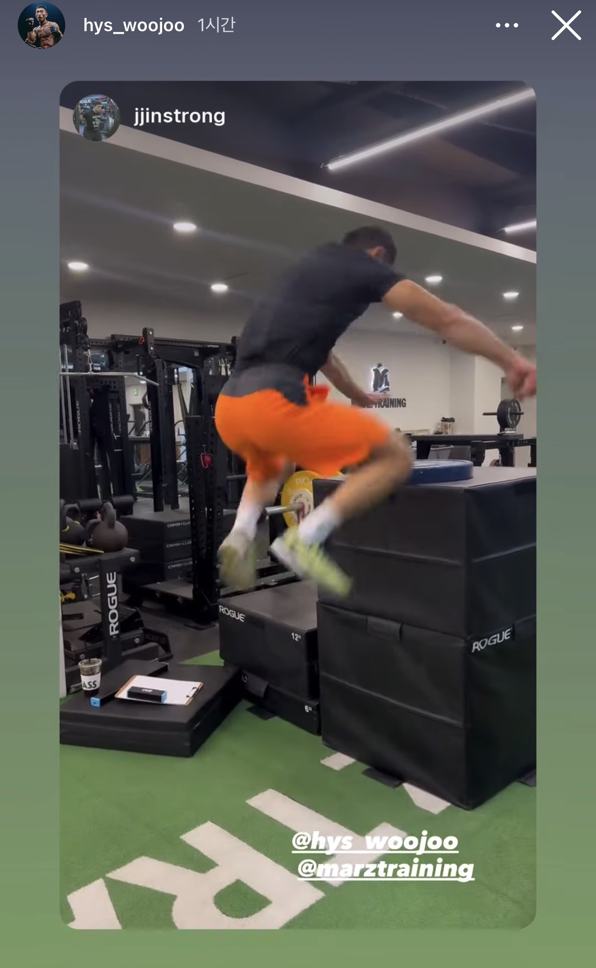 업로드된 이미지