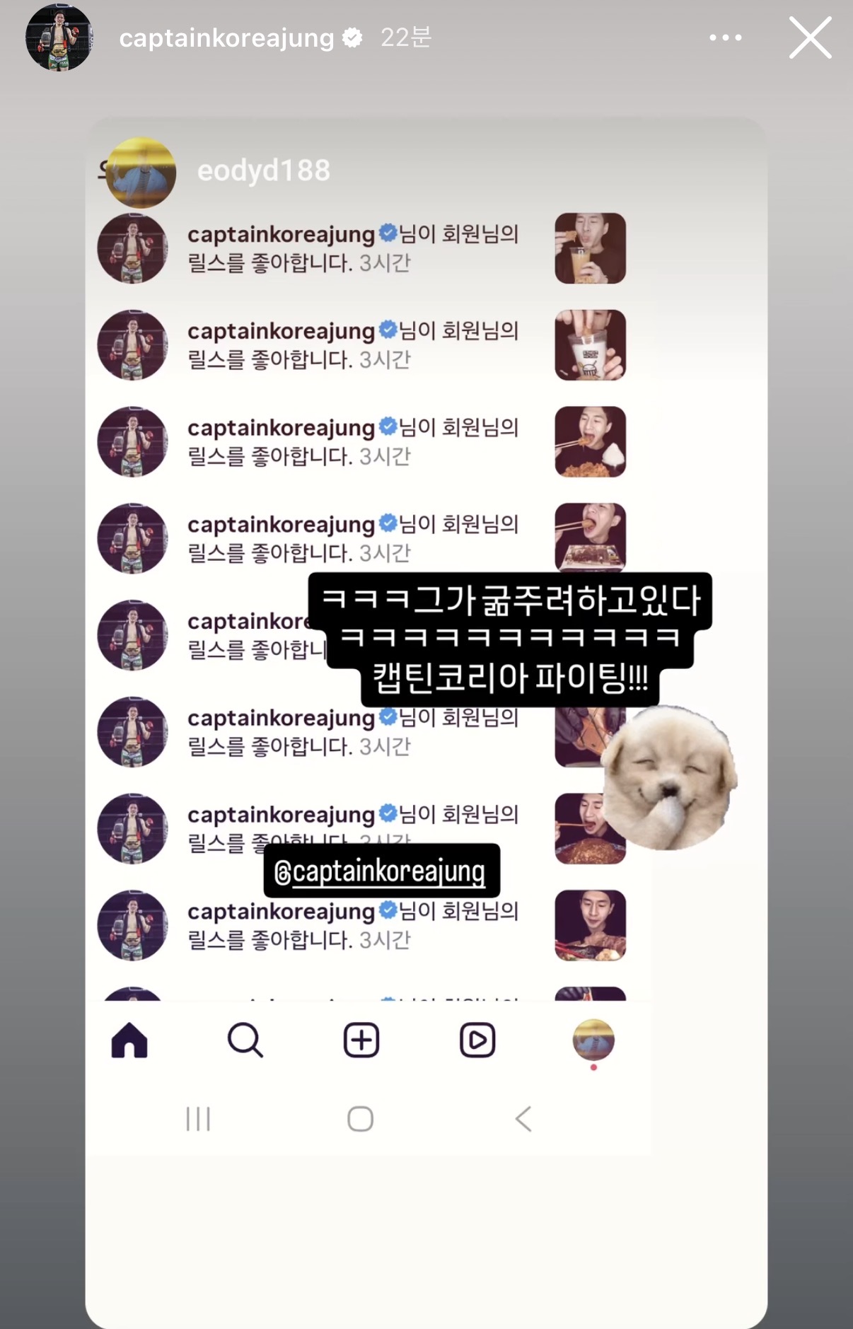 업로드된 이미지