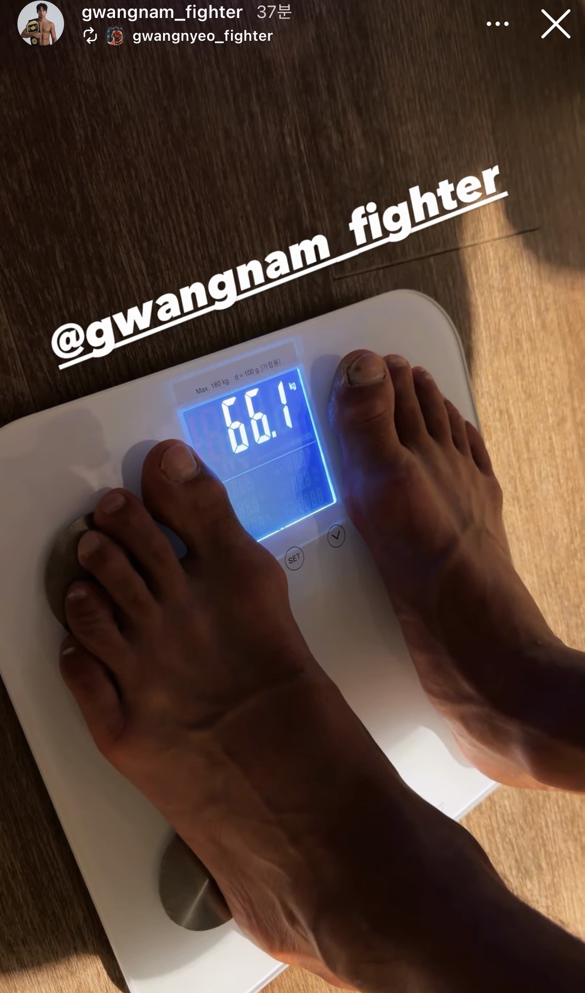 업로드된 이미지