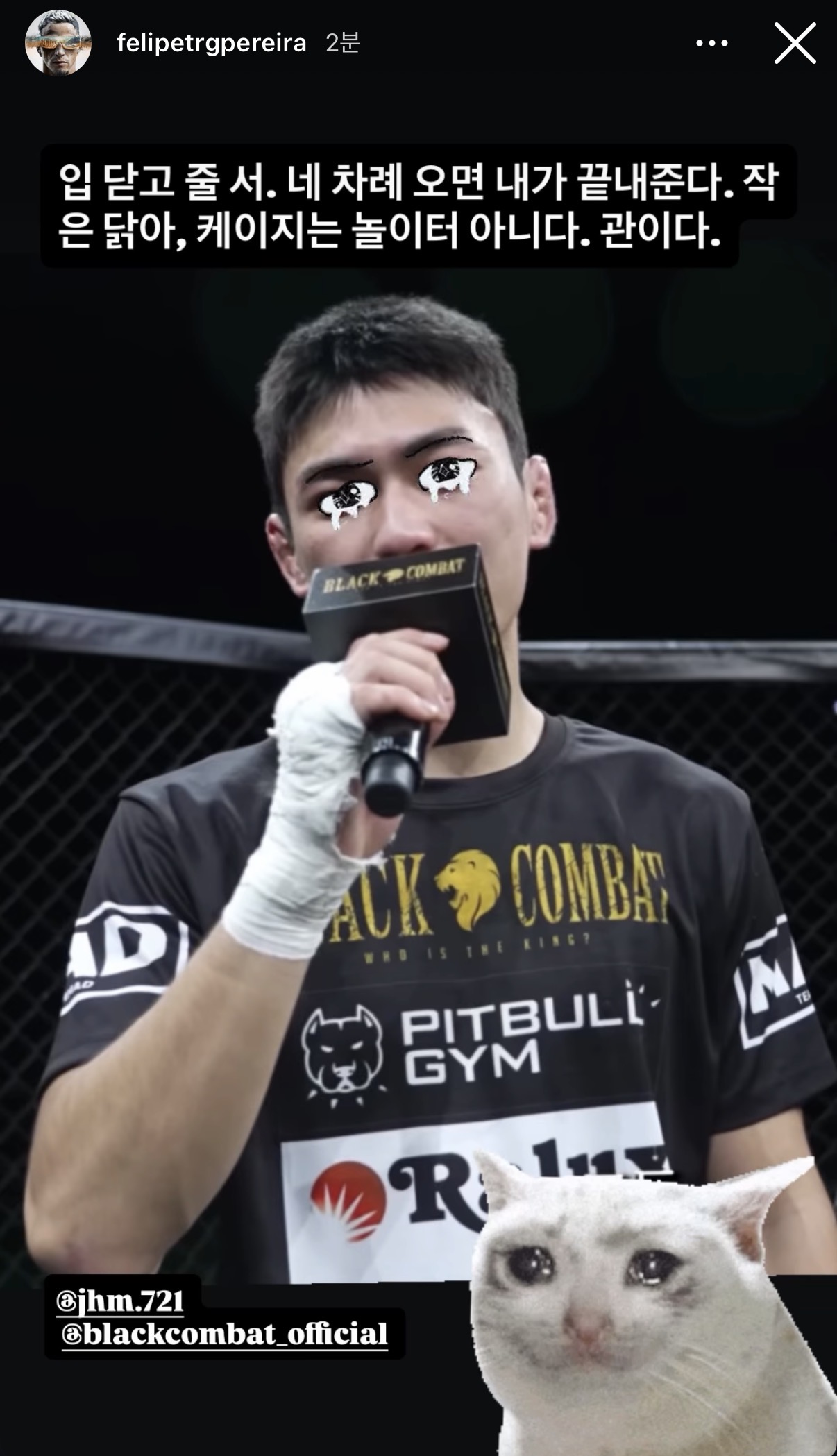 업로드된 이미지