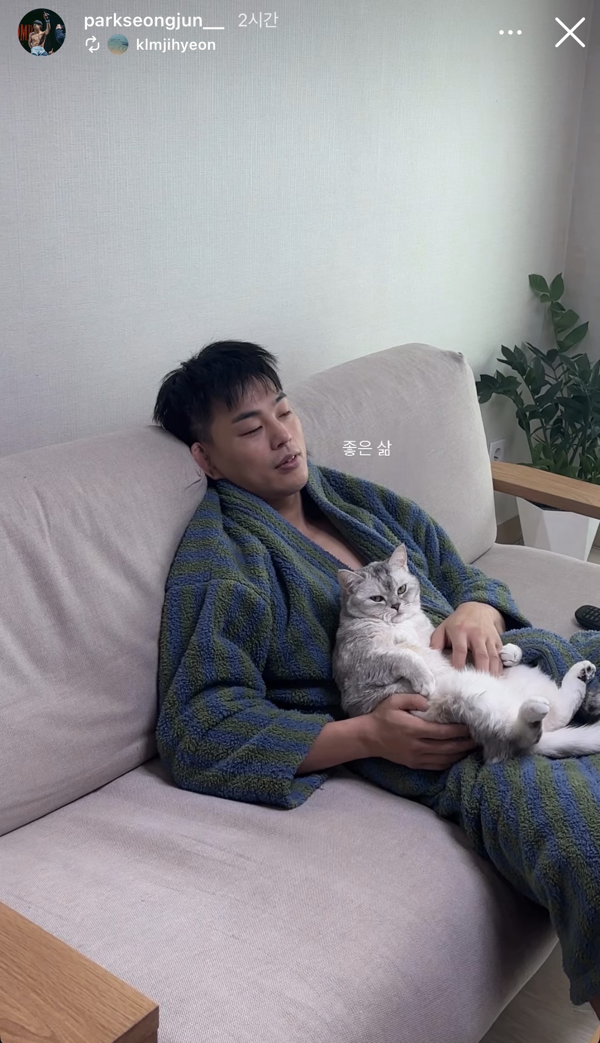 업로드된 이미지