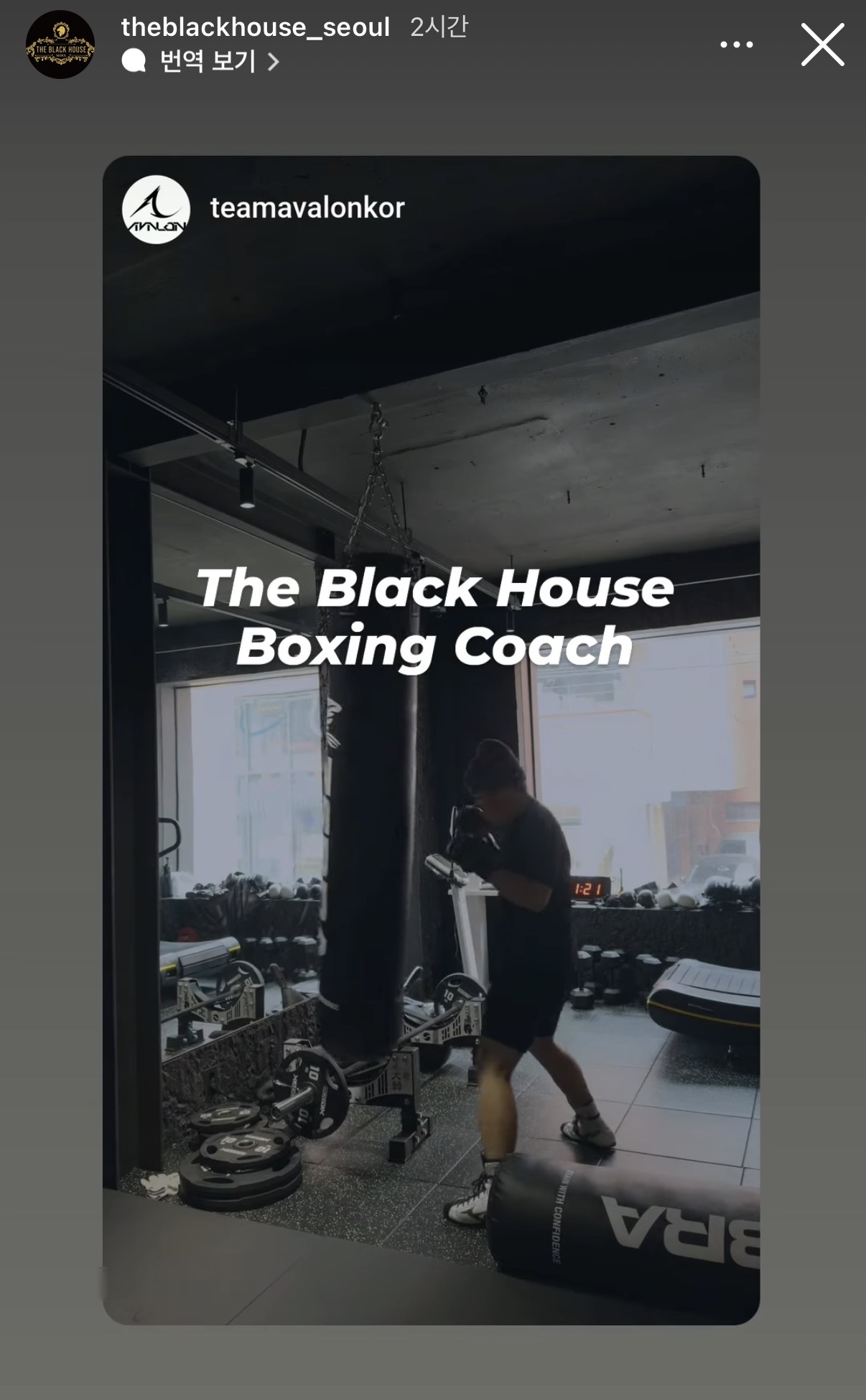 업로드된 이미지