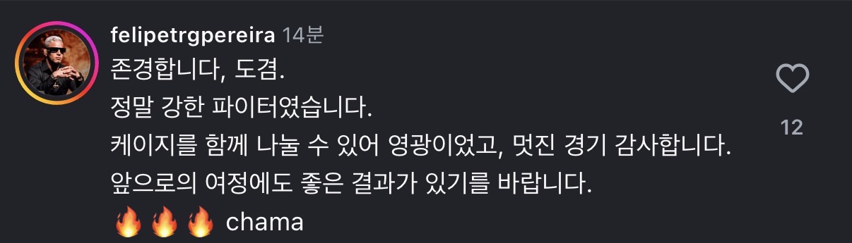 업로드된 이미지