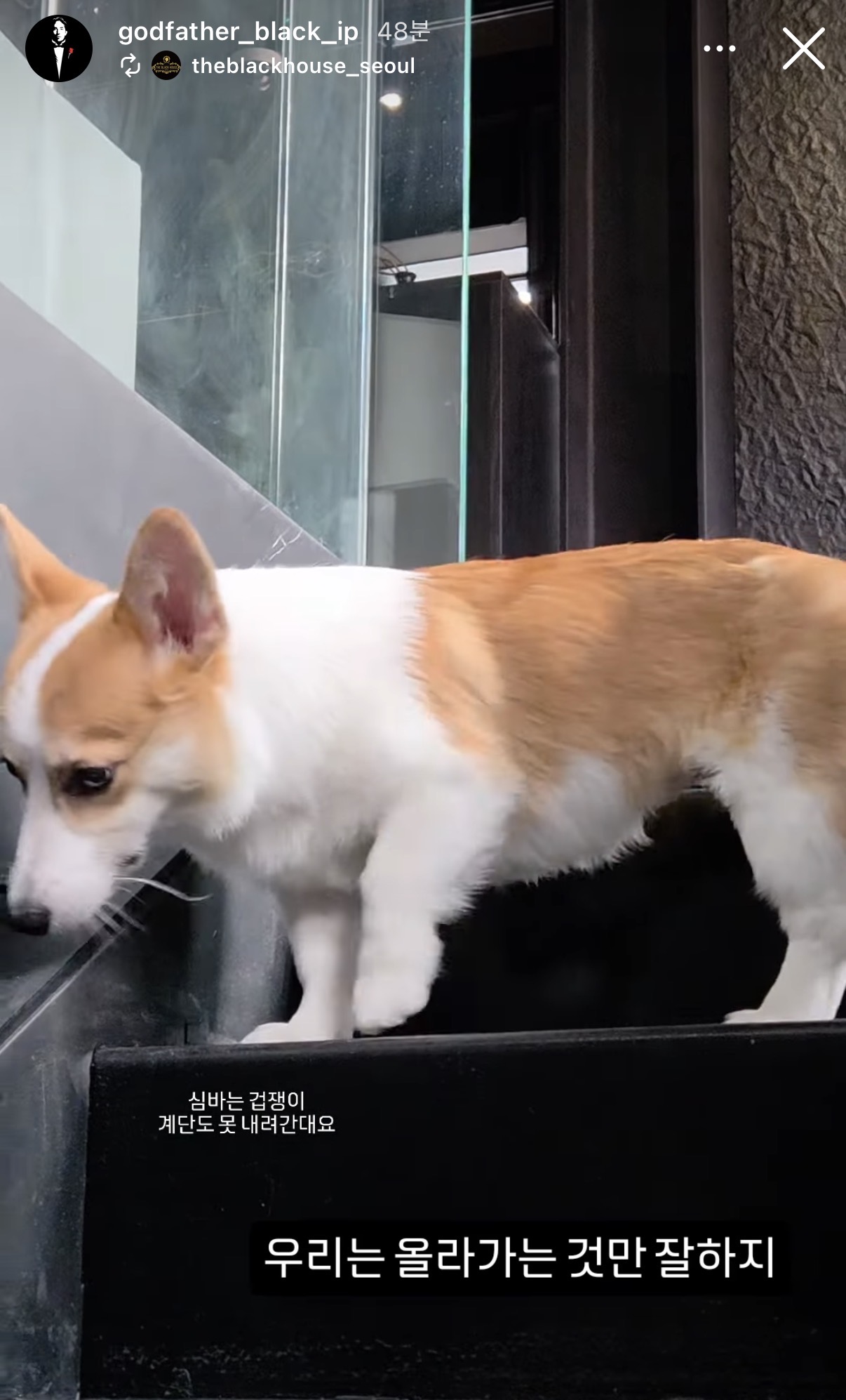 업로드된 이미지