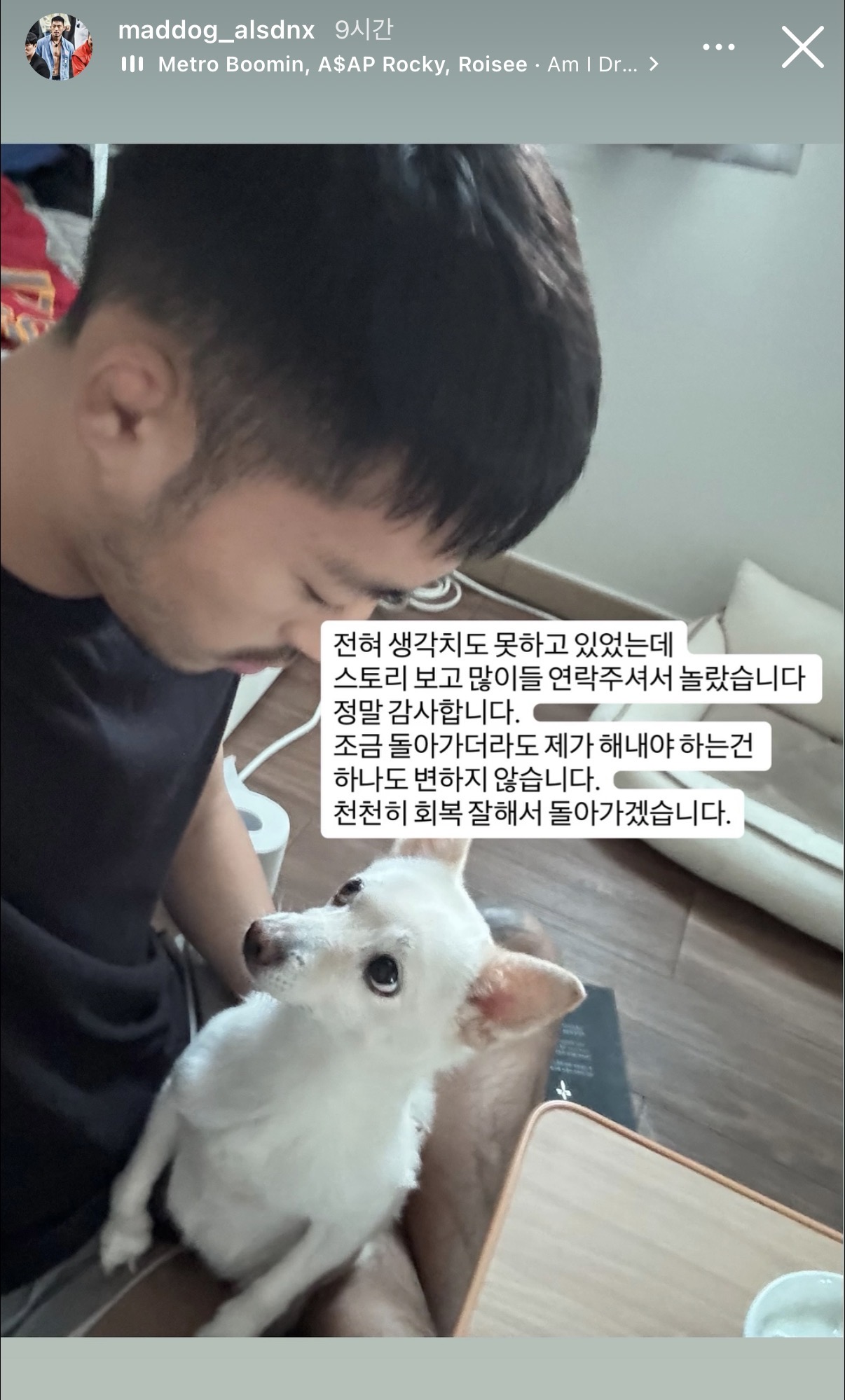 업로드된 이미지