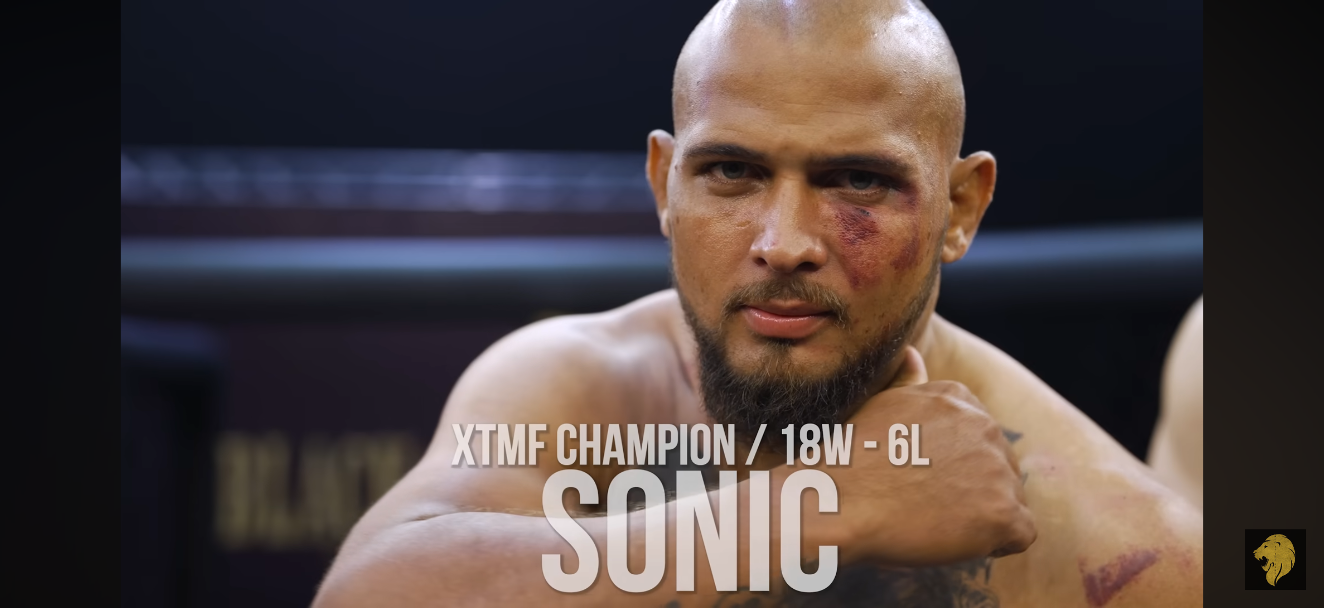 업로드된 이미지