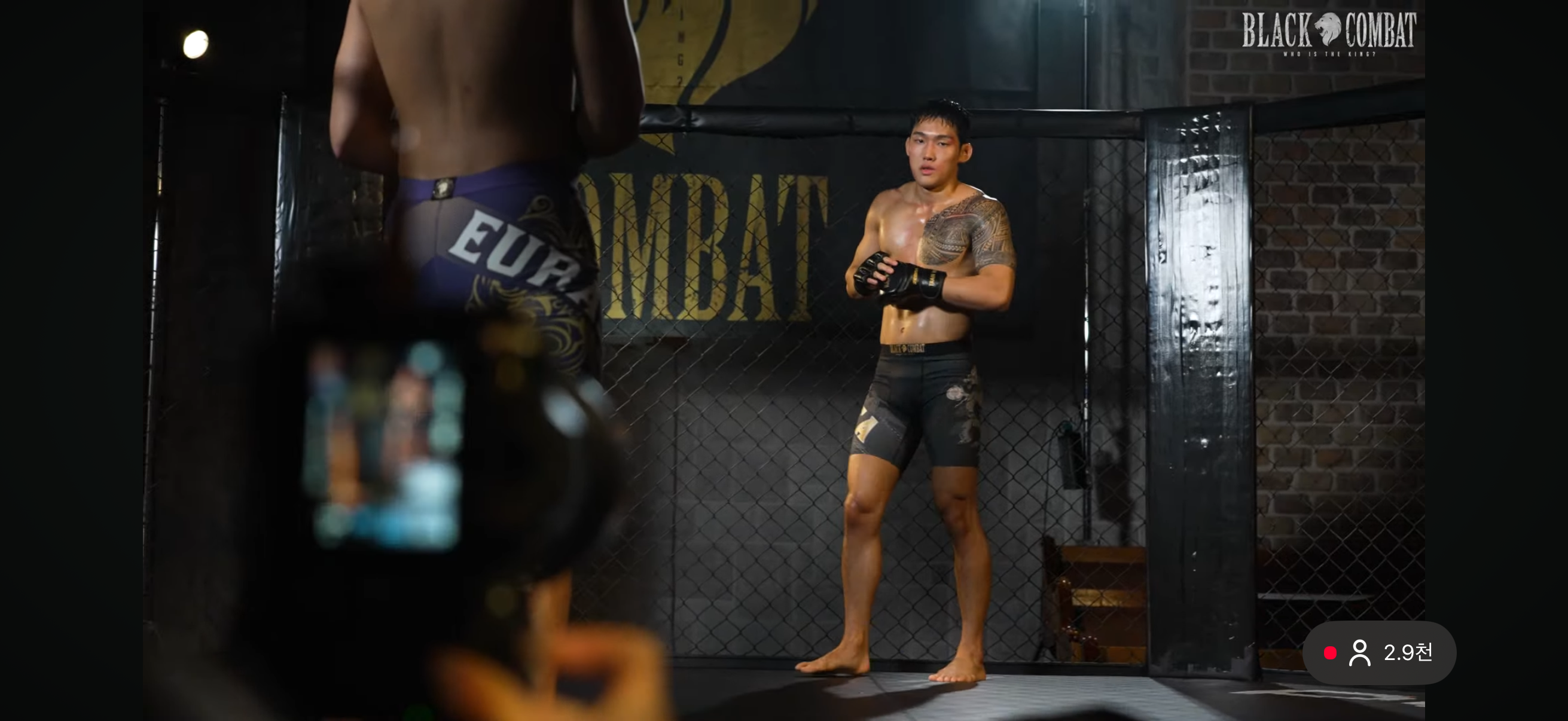 업로드된 이미지