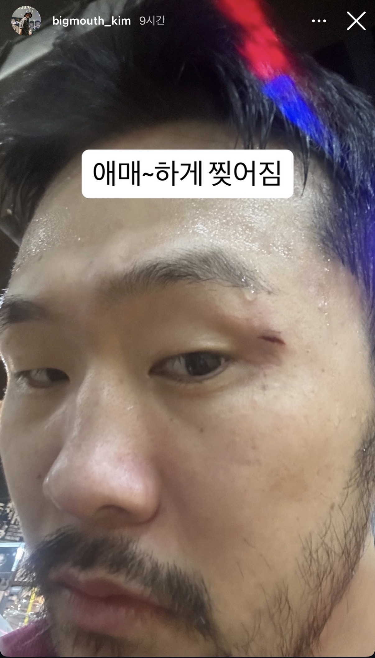 업로드된 이미지